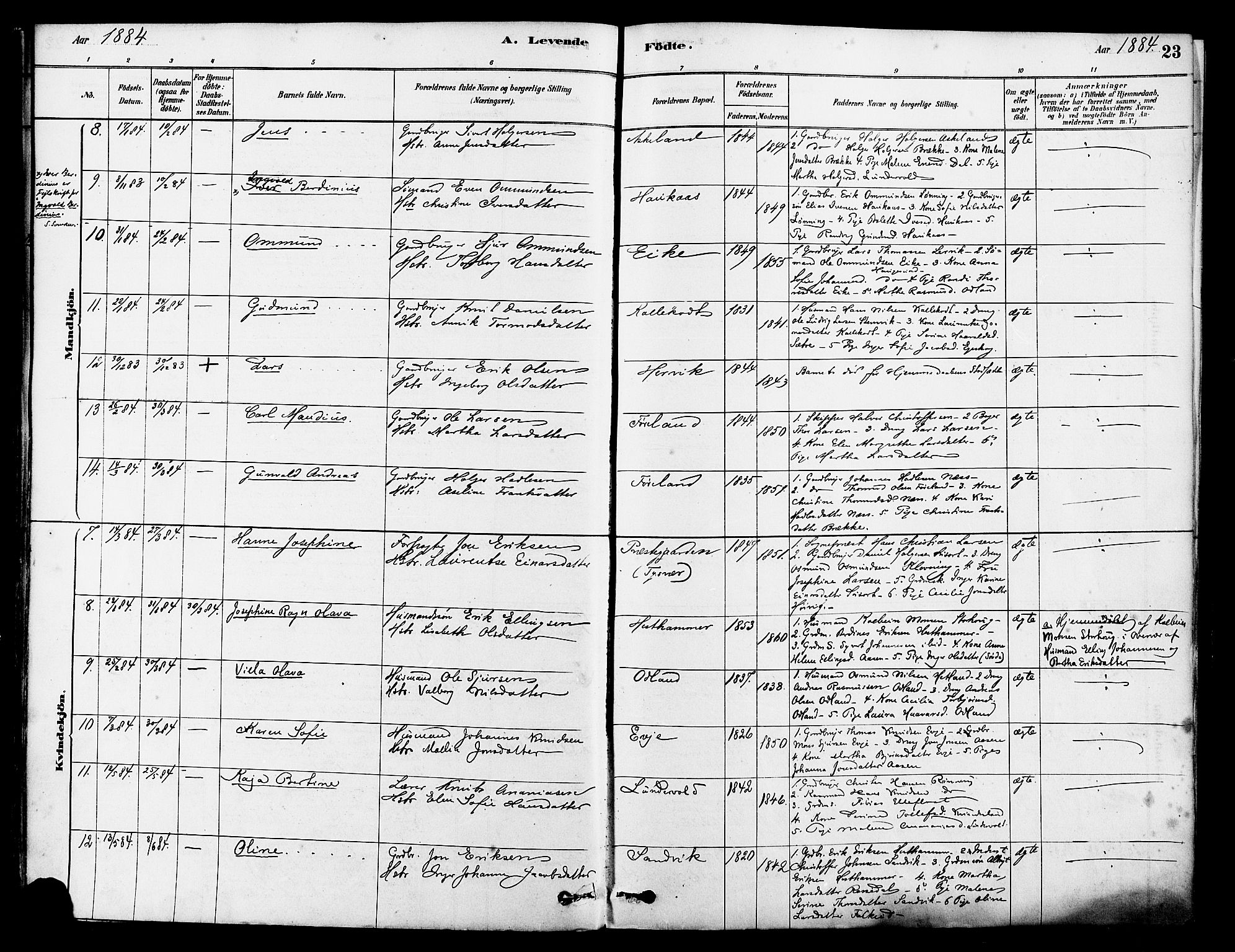 Tysvær sokneprestkontor, SAST/A -101864/H/Ha/Haa/L0006: Ministerialbok nr. A 6, 1878-1896, s. 23