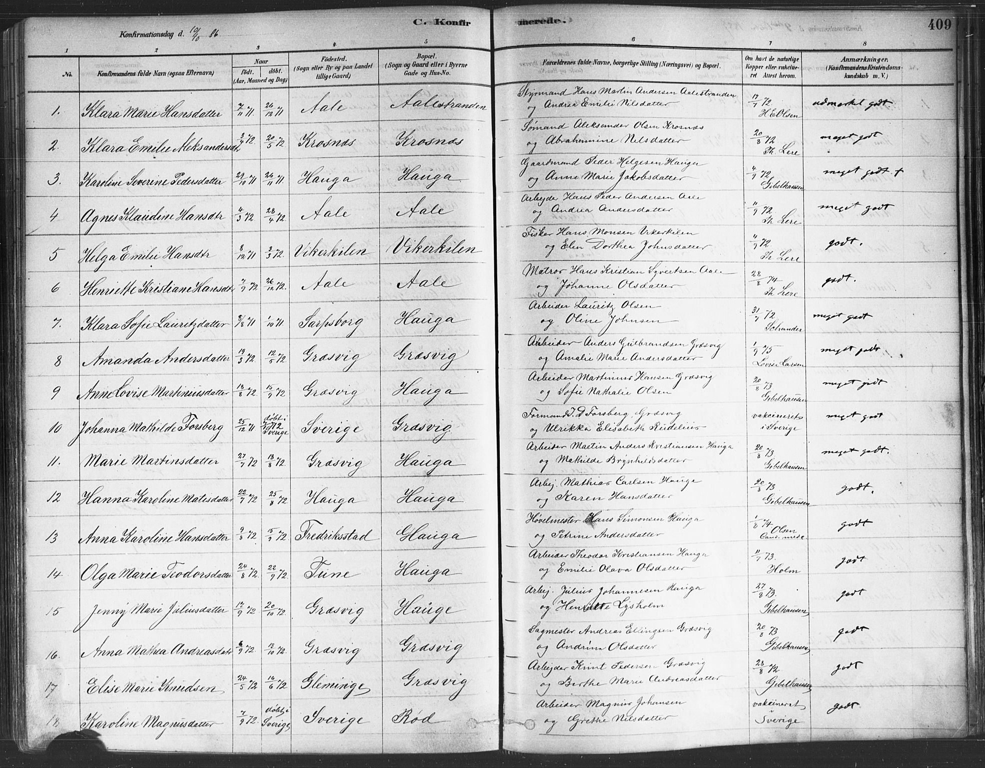 Onsøy prestekontor Kirkebøker, AV/SAO-A-10914/F/Fa/L0005: Ministerialbok nr. I 5, 1878-1898, s. 409