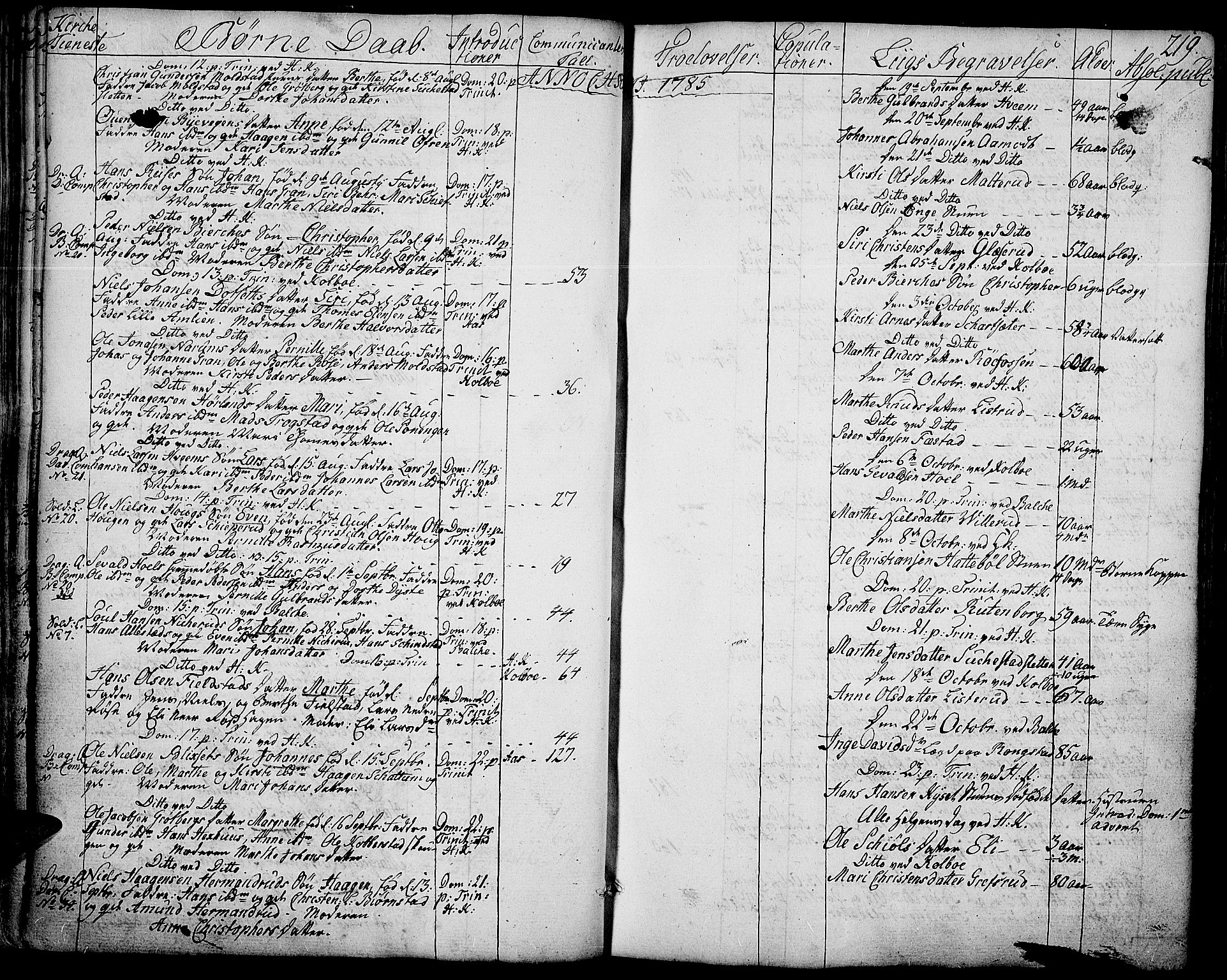 Toten prestekontor, AV/SAH-PREST-102/H/Ha/Haa/L0006: Ministerialbok nr. 6, 1773-1793, s. 219