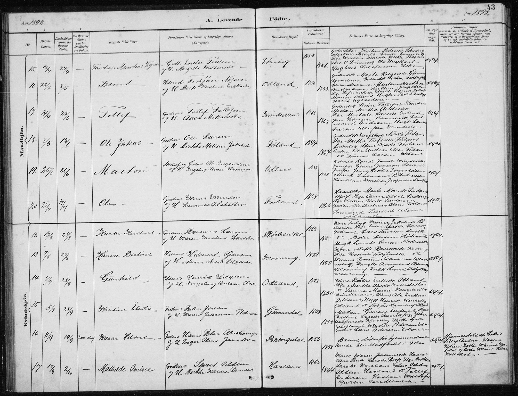 Tysvær sokneprestkontor, AV/SAST-A -101864/H/Ha/Hab/L0004: Klokkerbok nr. B 4, 1883-1896, s. 43