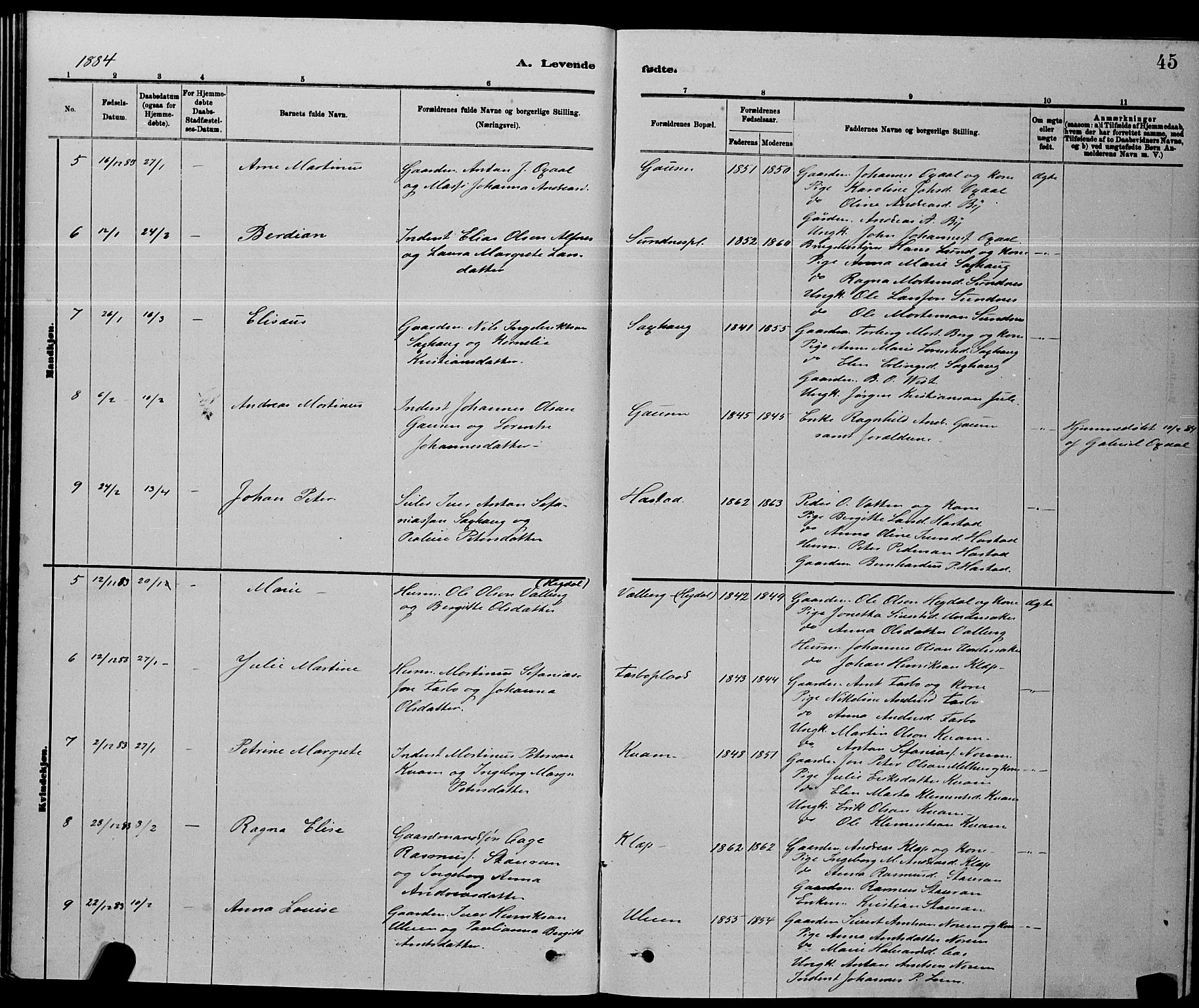 Ministerialprotokoller, klokkerbøker og fødselsregistre - Nord-Trøndelag, AV/SAT-A-1458/730/L0301: Klokkerbok nr. 730C04, 1880-1897, s. 45