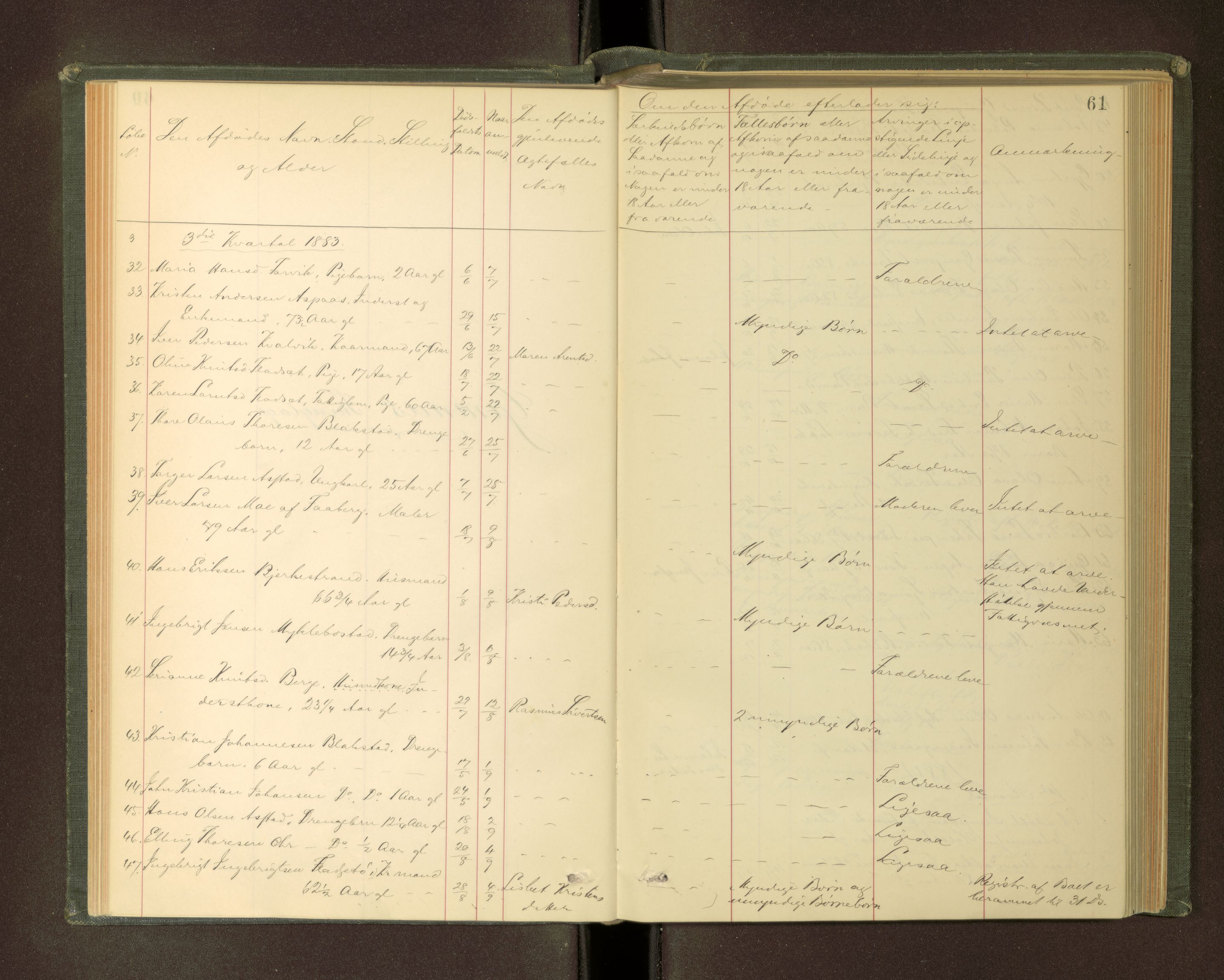 Nordmøre sorenskriveri, AV/SAT-A-4132/1/3/3L/L0003: Dødsfallsprotokoll, 1883-1897, s. 61