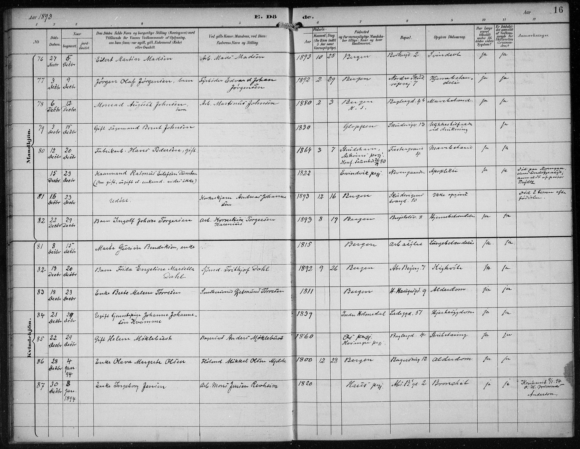 Sandviken Sokneprestembete, AV/SAB-A-77601/H/Ha/L0018: Ministerialbok nr. E 1, 1893-1905, s. 16