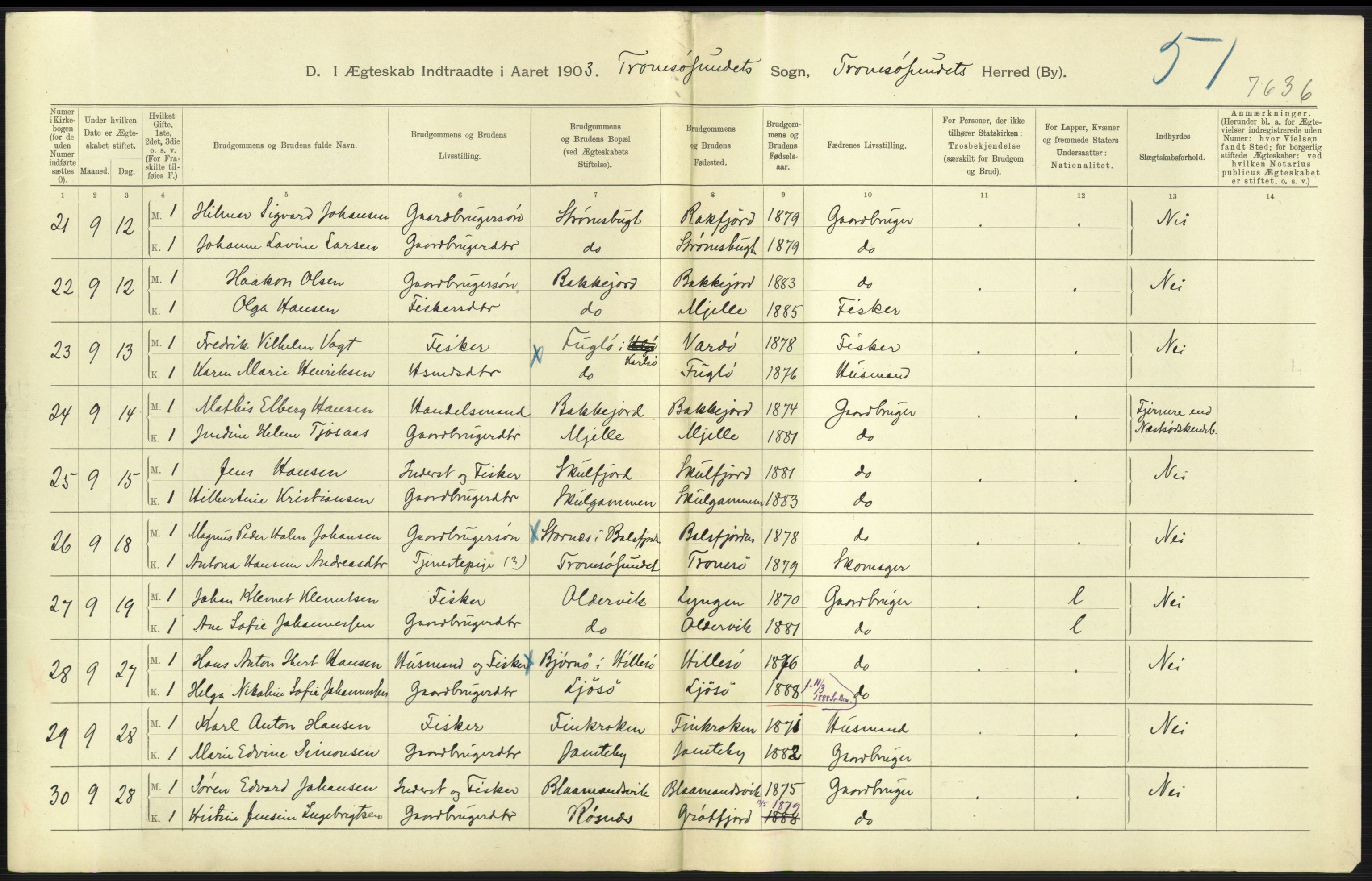 Statistisk sentralbyrå, Sosiodemografiske emner, Befolkning, AV/RA-S-2228/D/Df/Dfa/Dfaa/L0021: Tromsø amt: Fødte, gifte, døde., 1903, s. 305