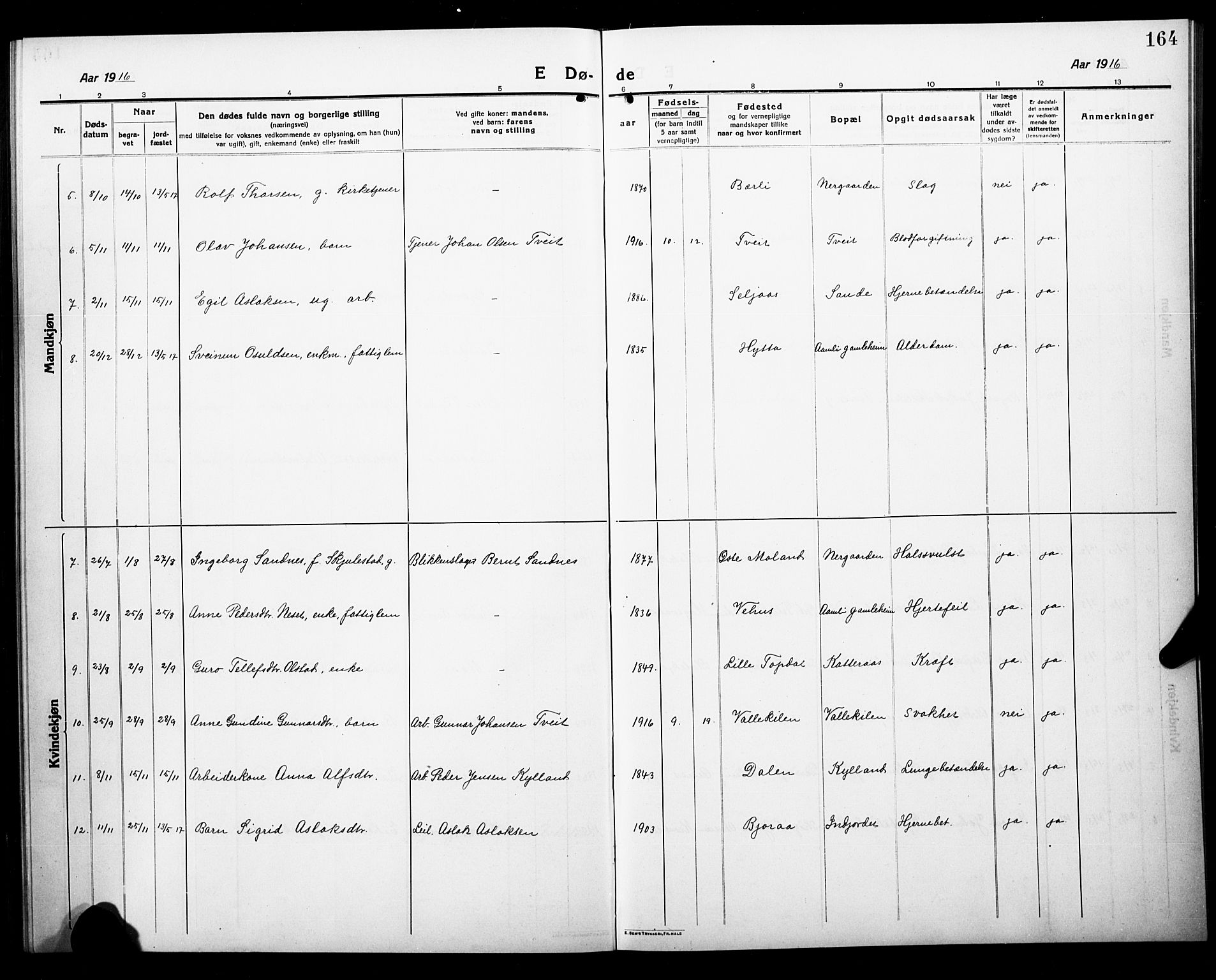 Åmli sokneprestkontor, AV/SAK-1111-0050/F/Fb/Fbc/L0006: Klokkerbok nr. B 6, 1915-1929, s. 164