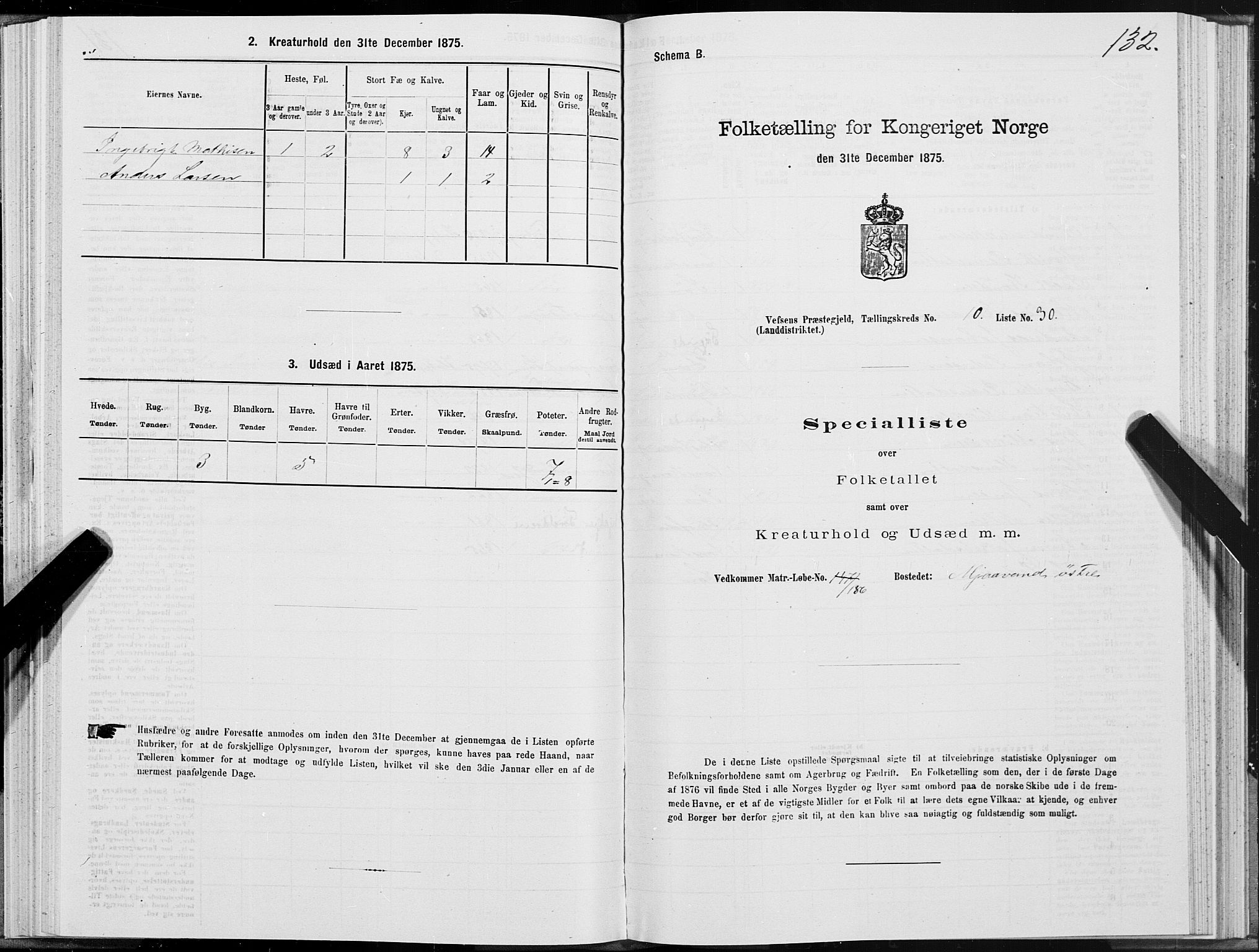 SAT, Folketelling 1875 for 1824L Vefsn prestegjeld, Vefsn sokn, 1875, s. 3132