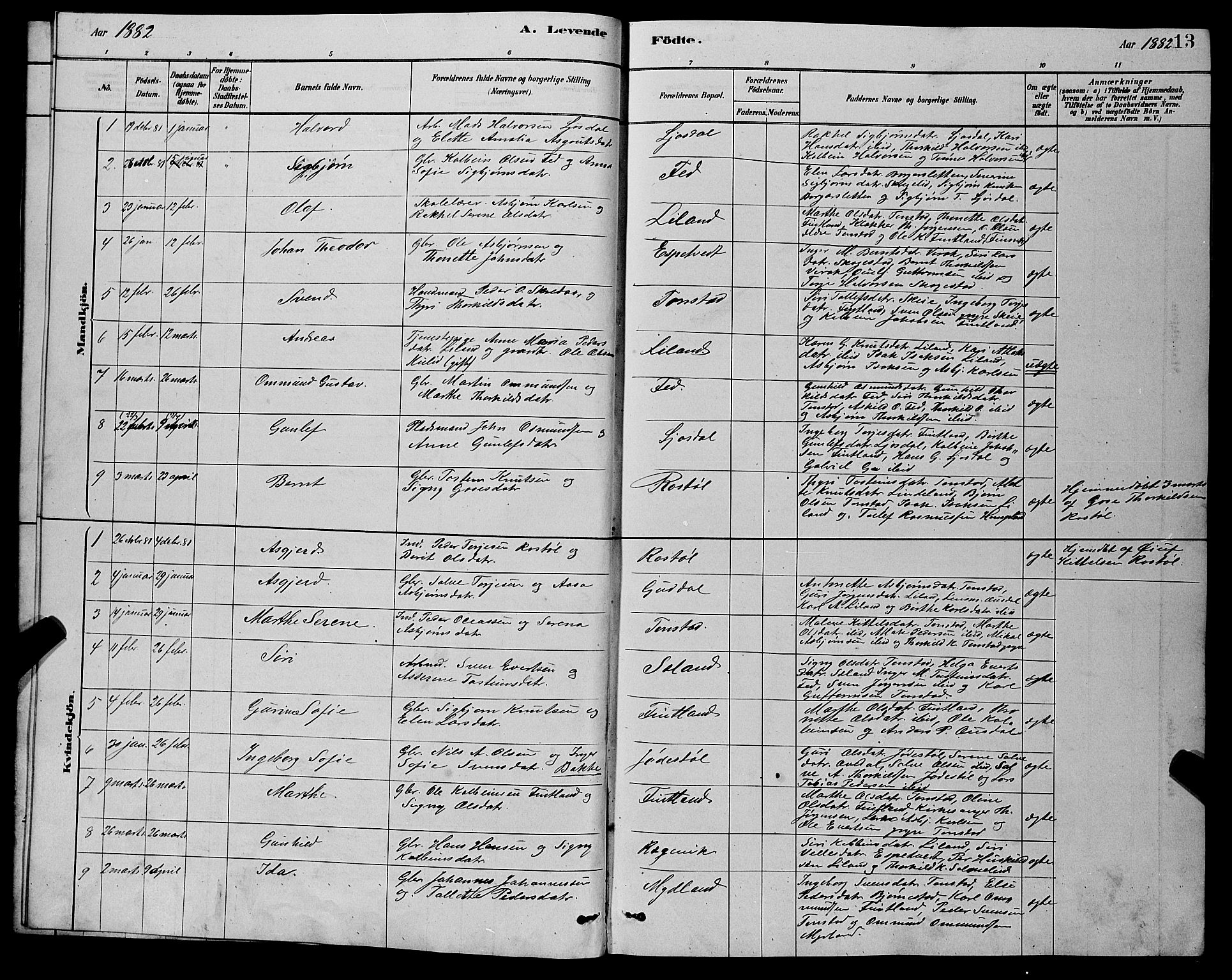 Sirdal sokneprestkontor, AV/SAK-1111-0036/F/Fb/Fbb/L0003: Klokkerbok nr. B 3, 1878-1894, s. 13