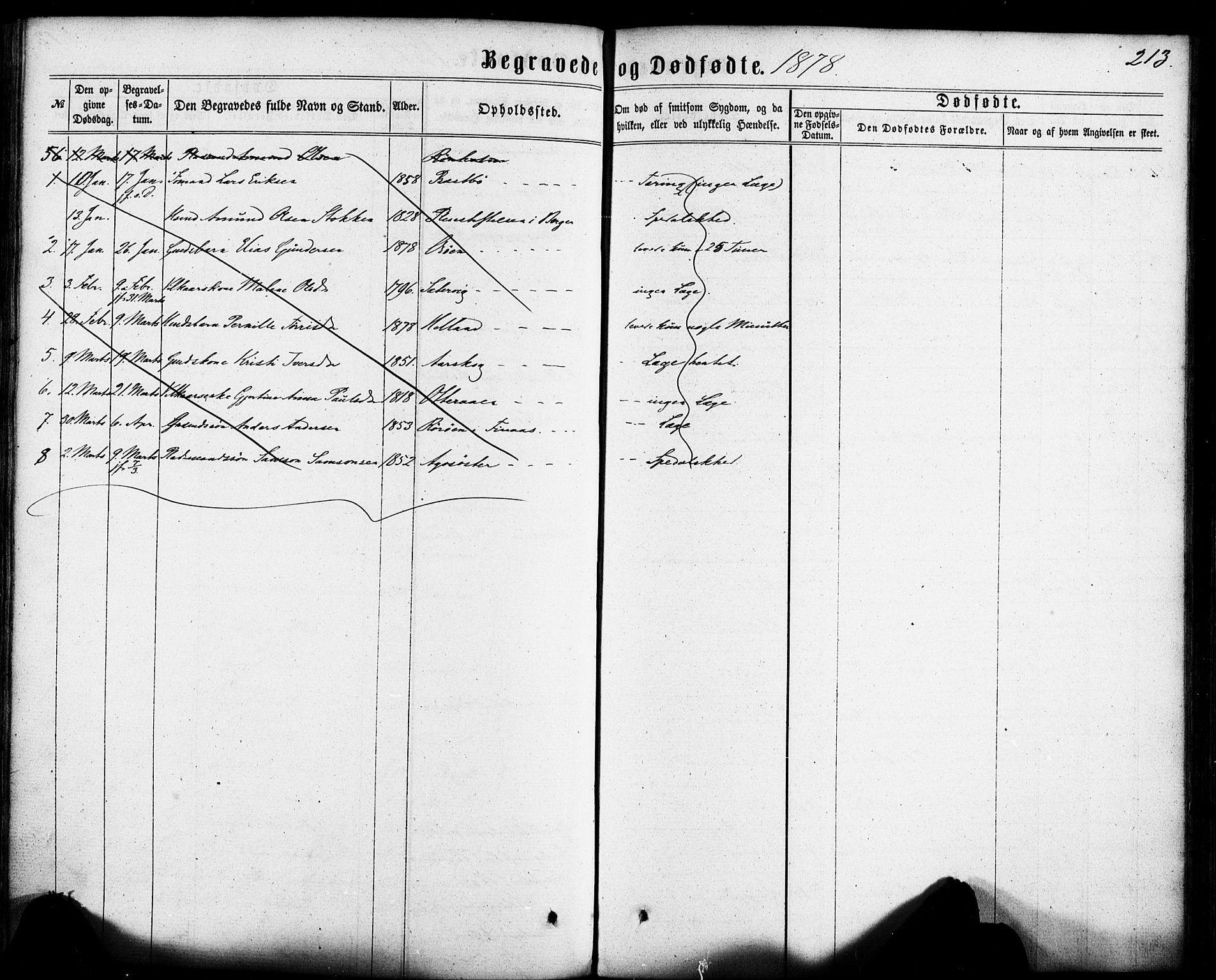 Fitjar sokneprestembete, AV/SAB-A-99926: Ministerialbok nr. A 1, 1862-1881, s. 213