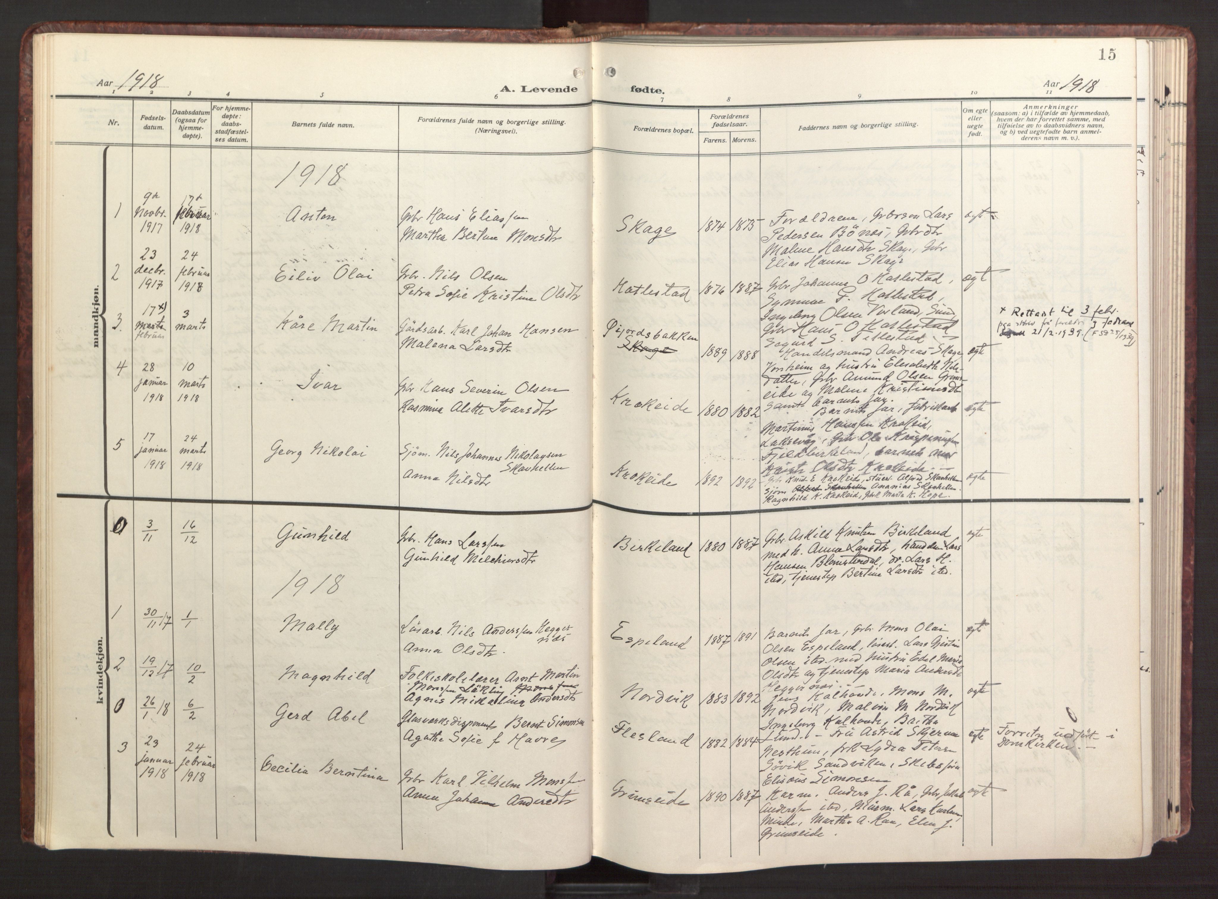 Fana Sokneprestembete, AV/SAB-A-75101/H/Haa/Haab/L0005: Ministerialbok nr. B 5, 1915-1923, s. 15