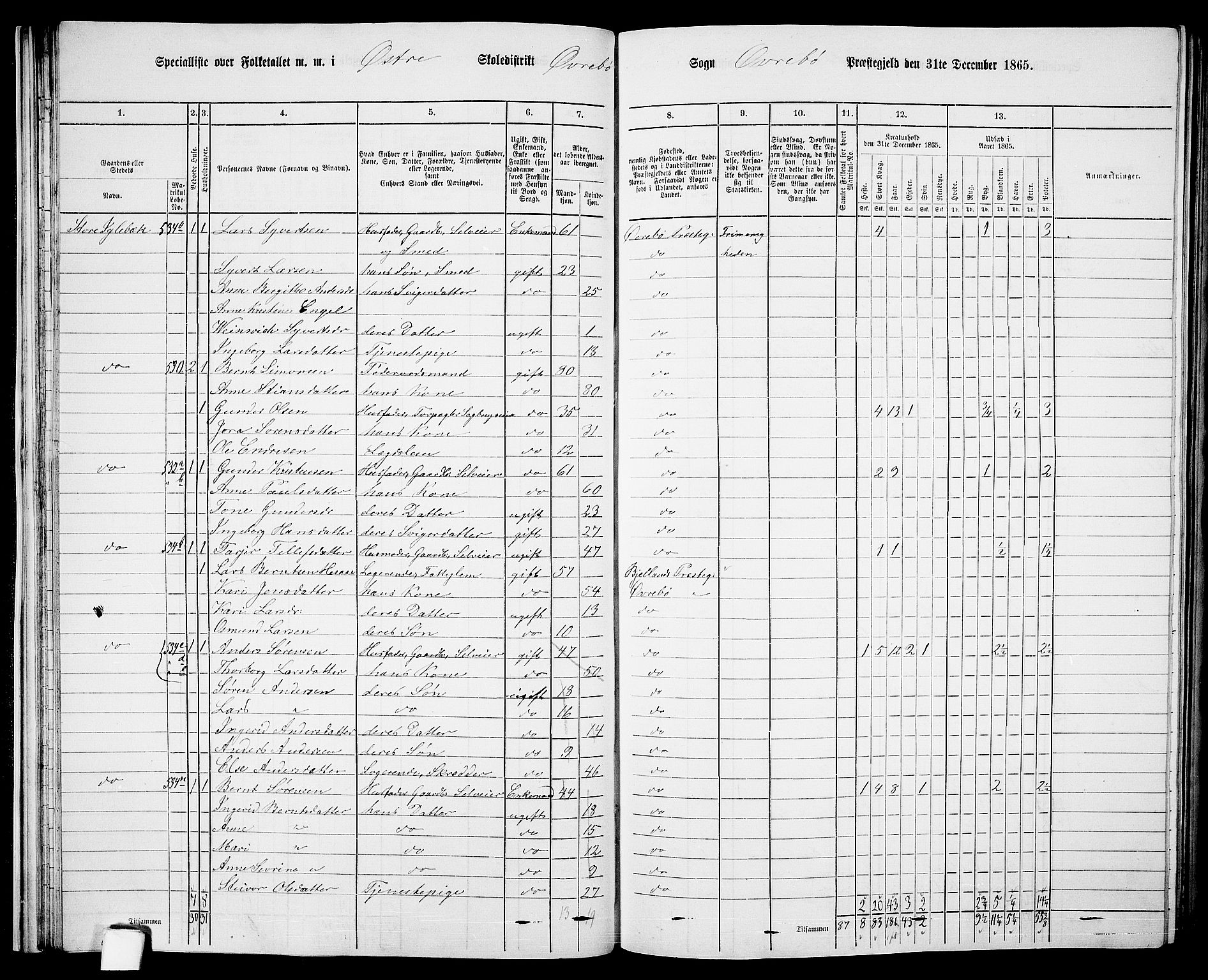 RA, Folketelling 1865 for 1016P Øvrebø prestegjeld, 1865, s. 33