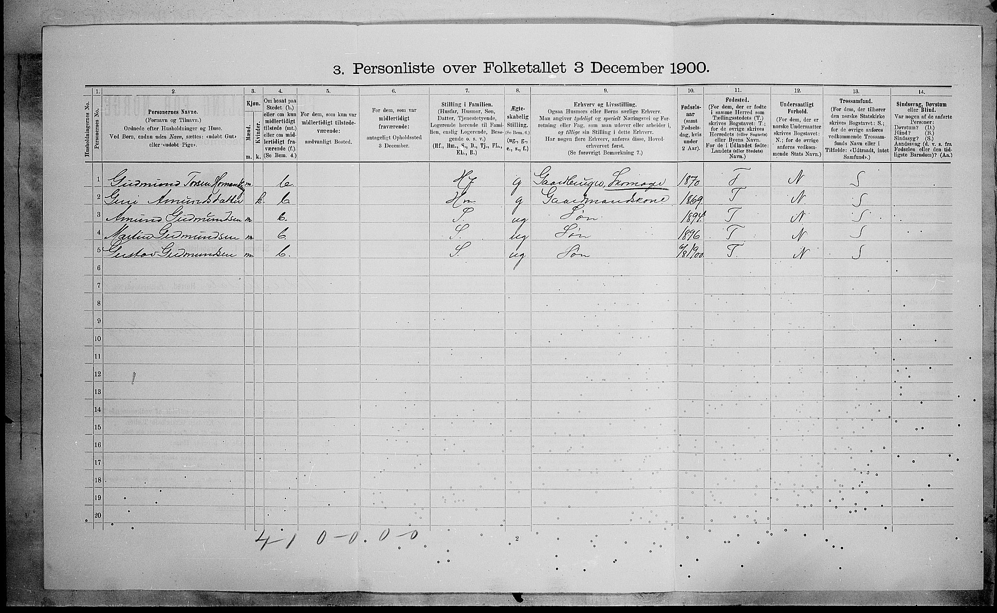 SAH, Folketelling 1900 for 0542 Nord-Aurdal herred, 1900, s. 1217
