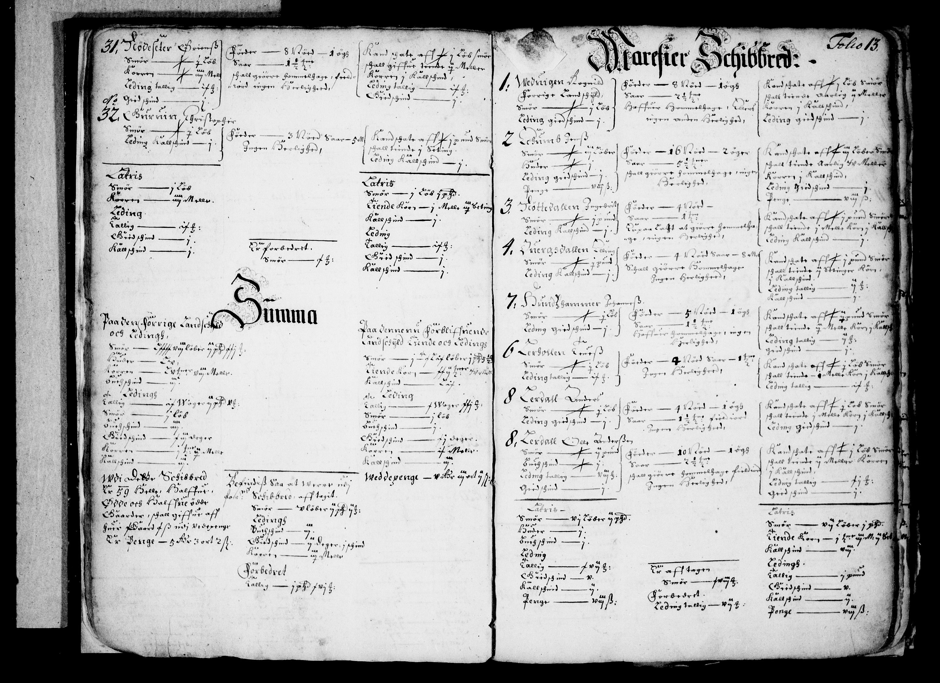 Rentekammeret inntil 1814, Realistisk ordnet avdeling, AV/RA-EA-4070/N/Nb/Nba/L0041: Indre Sogn fogderi, 1666, s. 12b-13a