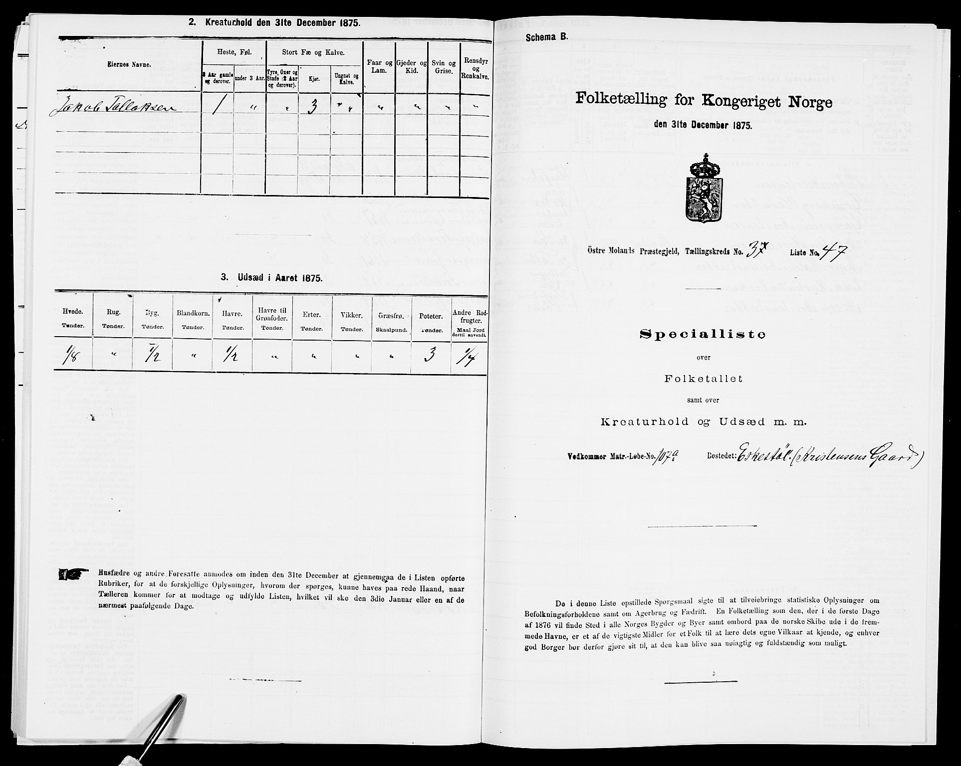 SAK, Folketelling 1875 for 0918P Austre Moland prestegjeld, 1875, s. 3136