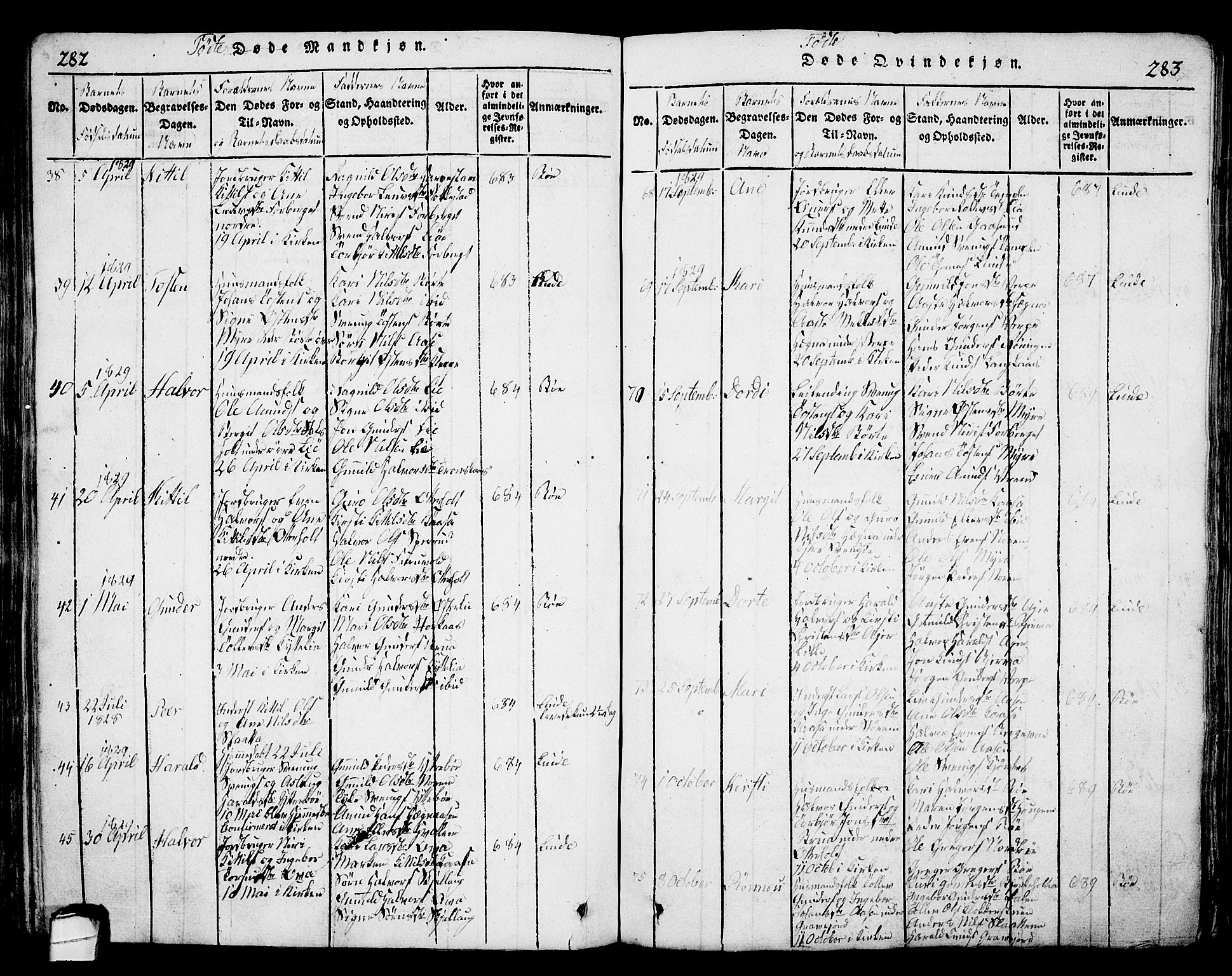 Bø kirkebøker, AV/SAKO-A-257/G/Ga/L0001: Klokkerbok nr. 1, 1815-1831, s. 282-283