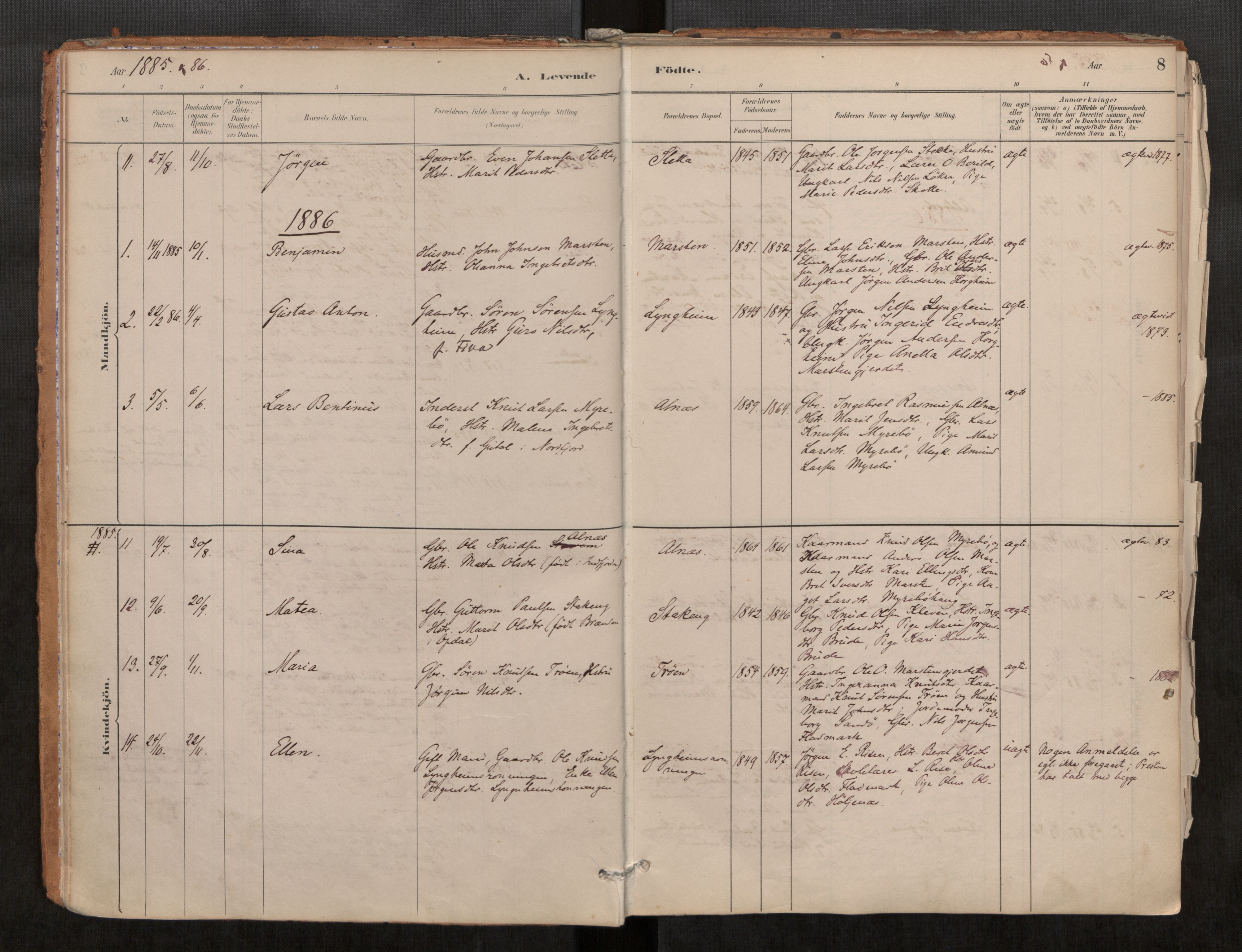 Ministerialprotokoller, klokkerbøker og fødselsregistre - Møre og Romsdal, AV/SAT-A-1454/546/L0599: Ministerialbok nr. 546A03, 1882-1920, s. 8