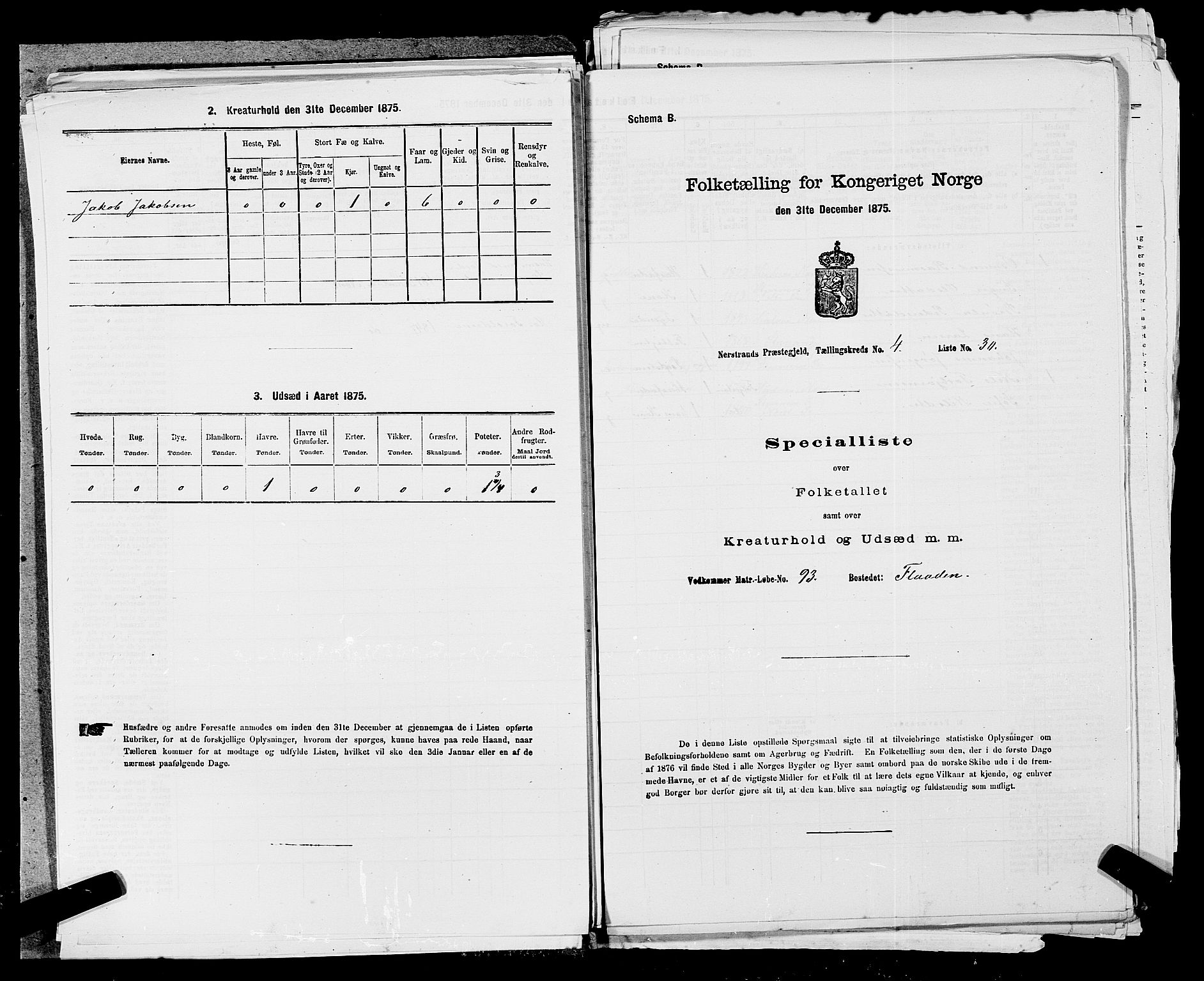 SAST, Folketelling 1875 for 1139P Nedstrand prestegjeld, 1875, s. 205