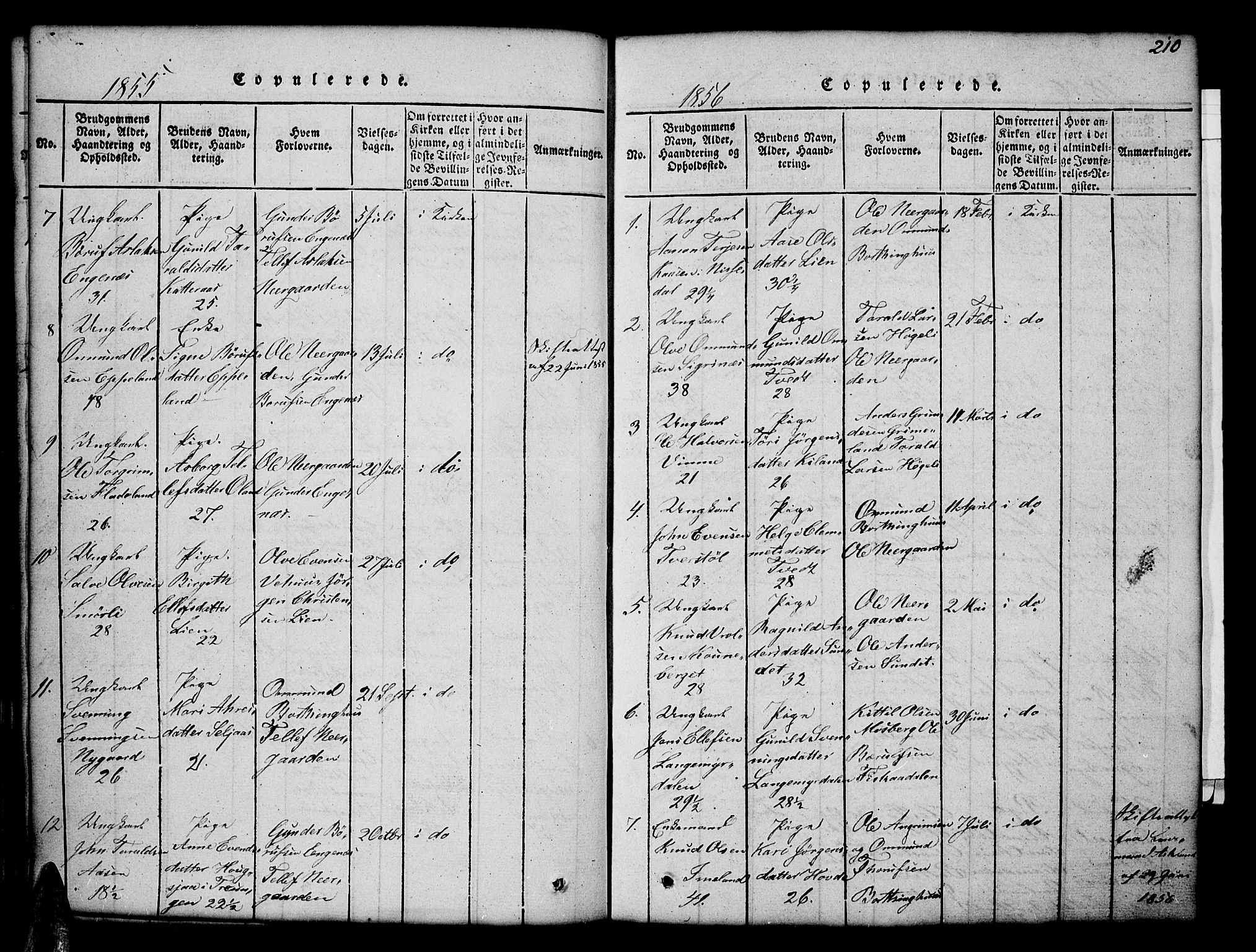 Åmli sokneprestkontor, SAK/1111-0050/F/Fb/Fbc/L0001: Klokkerbok nr. B 1, 1816-1867, s. 210