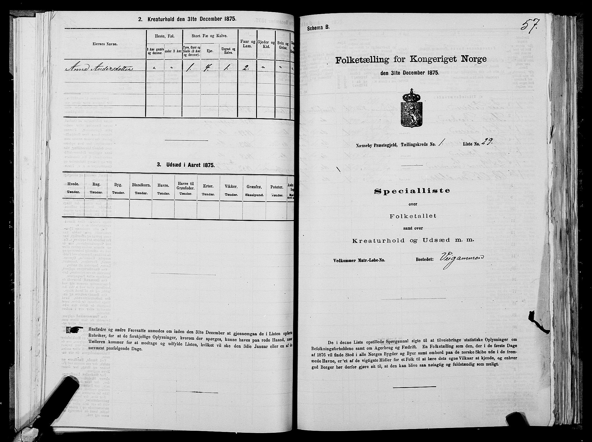 SATØ, Folketelling 1875 for 2027P Nesseby prestegjeld, 1875, s. 1057