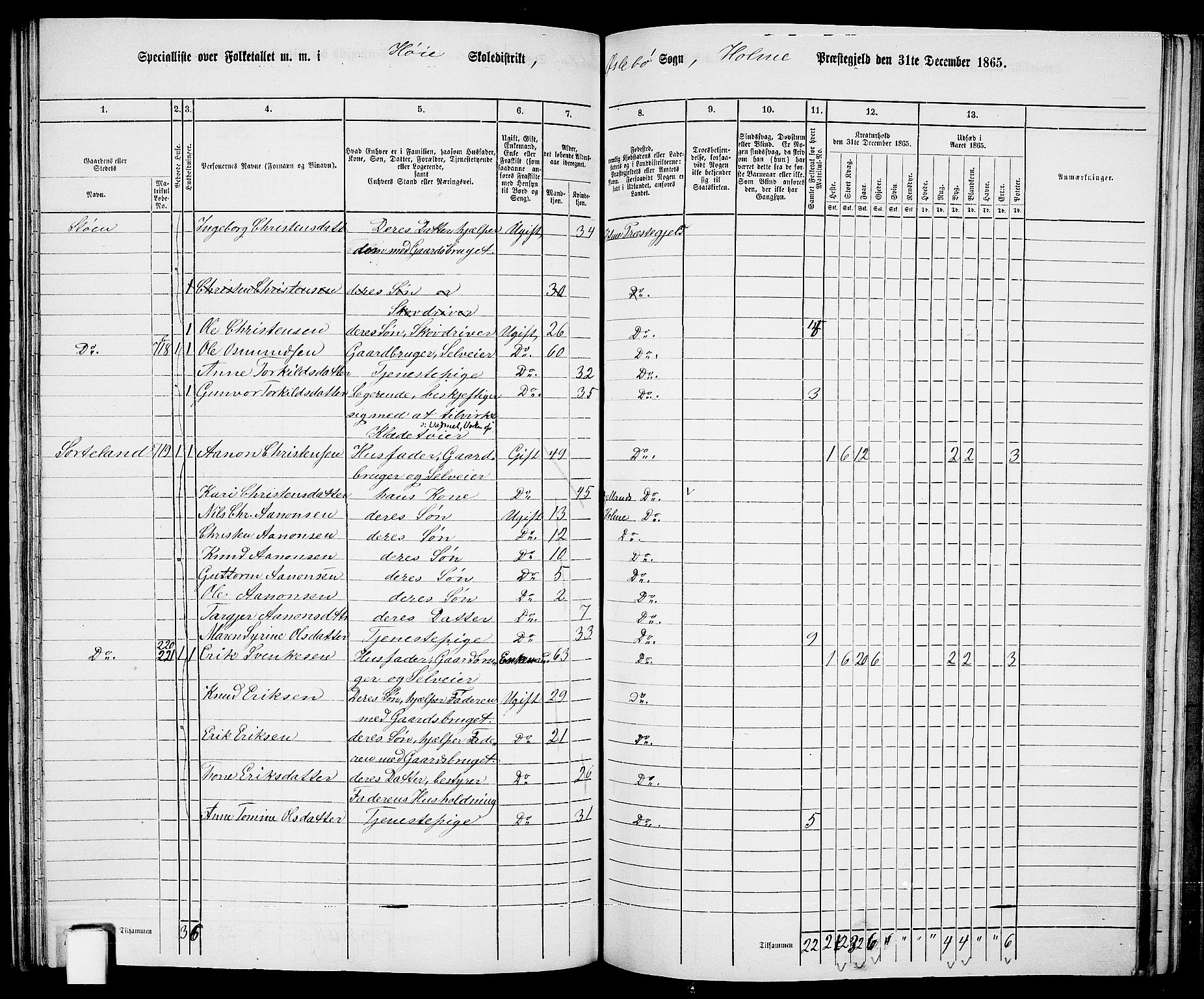 RA, Folketelling 1865 for 1020P Holum prestegjeld, 1865, s. 134