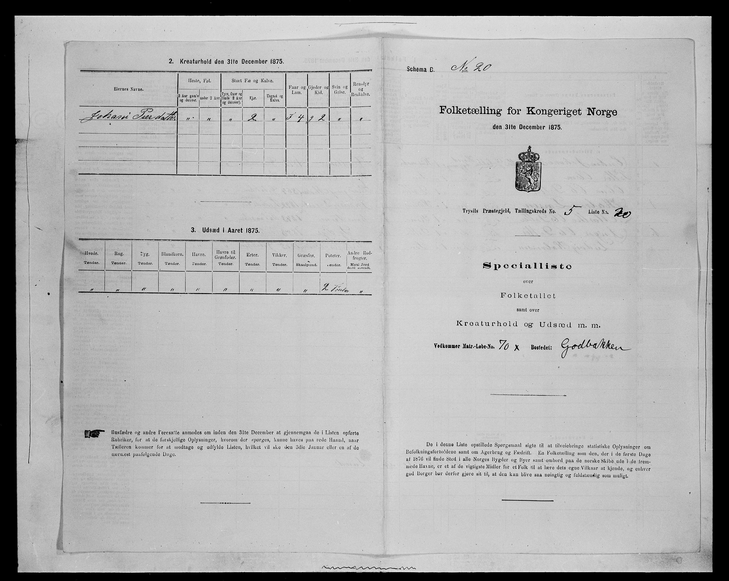 SAH, Folketelling 1875 for 0428P Trysil prestegjeld, 1875, s. 712