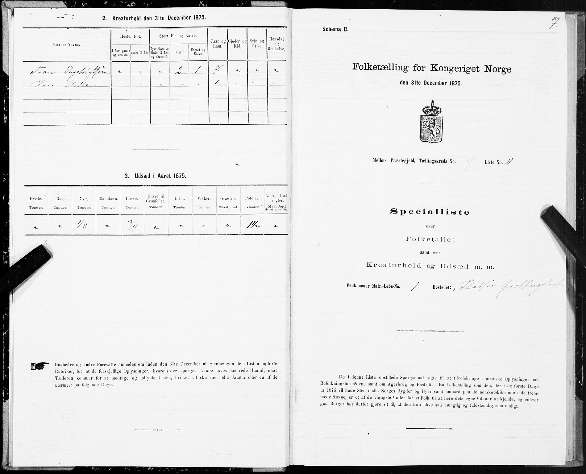 SAT, Folketelling 1875 for 1653P Melhus prestegjeld, 1875, s. 5007