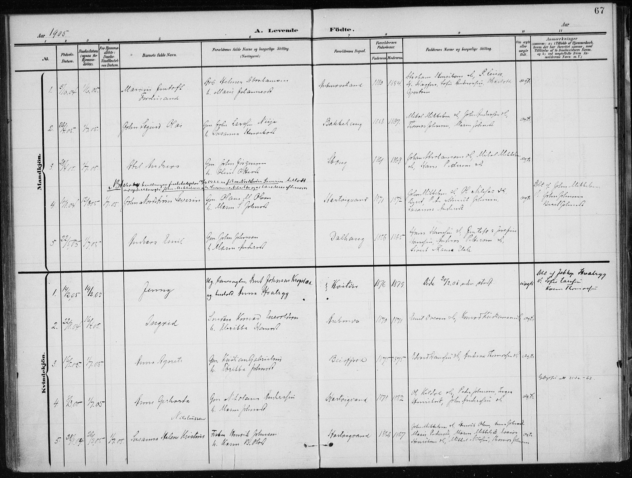 Ministerialprotokoller, klokkerbøker og fødselsregistre - Nordland, AV/SAT-A-1459/866/L0941: Ministerialbok nr. 866A04, 1901-1917, s. 67