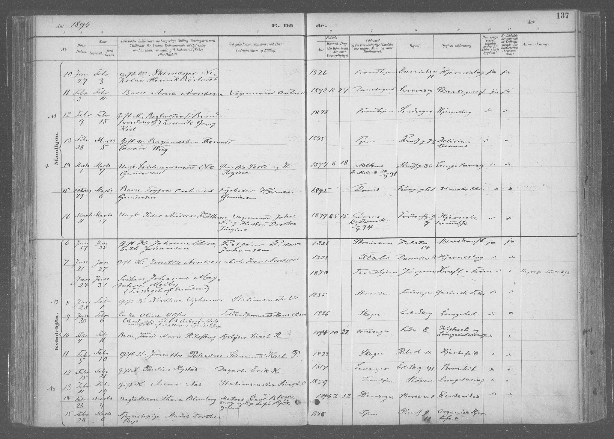 Ministerialprotokoller, klokkerbøker og fødselsregistre - Sør-Trøndelag, SAT/A-1456/601/L0064: Ministerialbok nr. 601A31, 1891-1911, s. 137