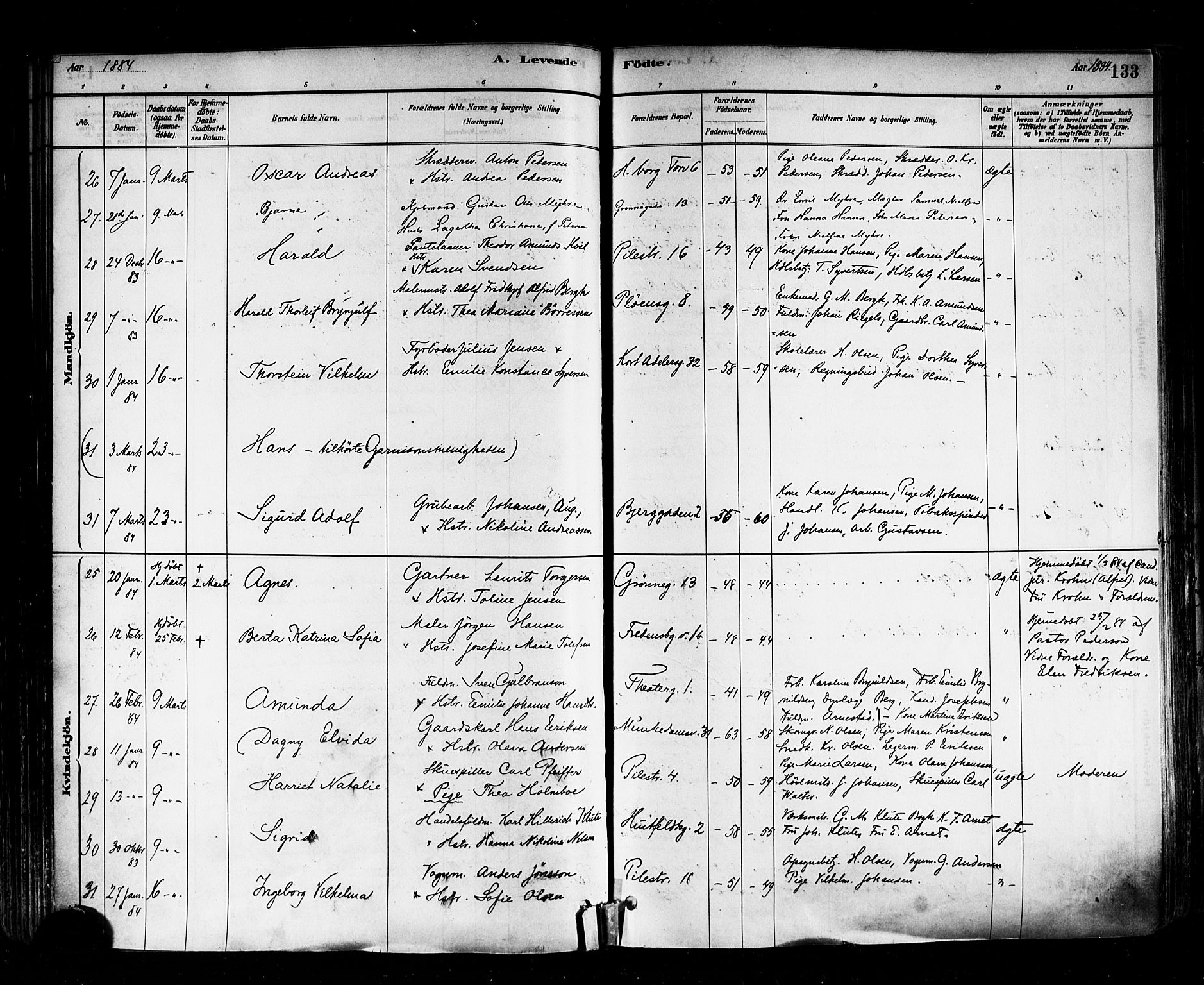 Trefoldighet prestekontor Kirkebøker, AV/SAO-A-10882/F/Fa/L0005: Ministerialbok nr. I 5, 1881-1891, s. 133