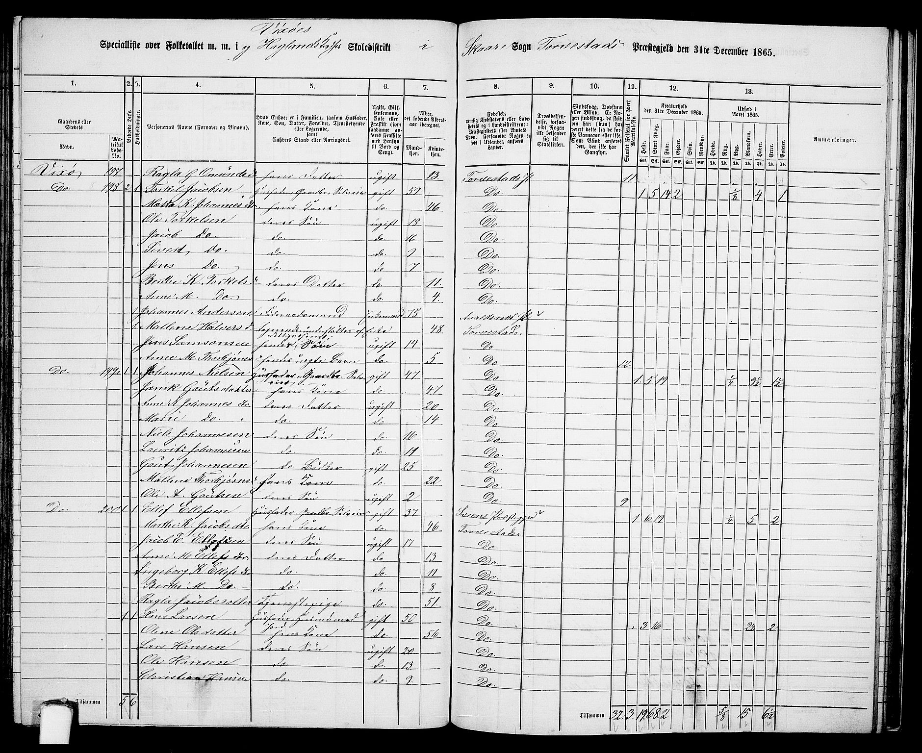 RA, Folketelling 1865 for 1152L Torvastad prestegjeld, Torvastad sokn, Skåre sokn og Utsira sokn, 1865, s. 126