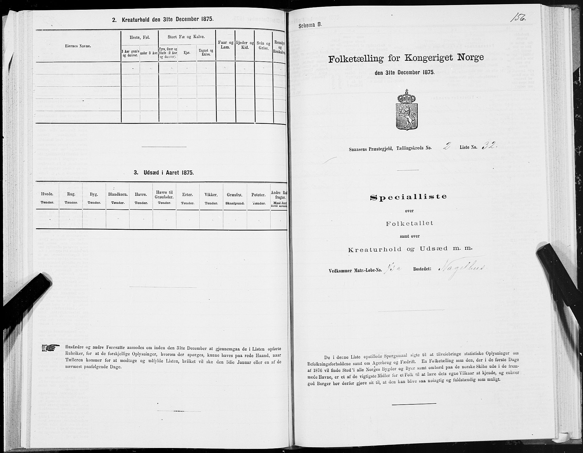 SAT, Folketelling 1875 for 1736P Snåsa prestegjeld, 1875, s. 1156