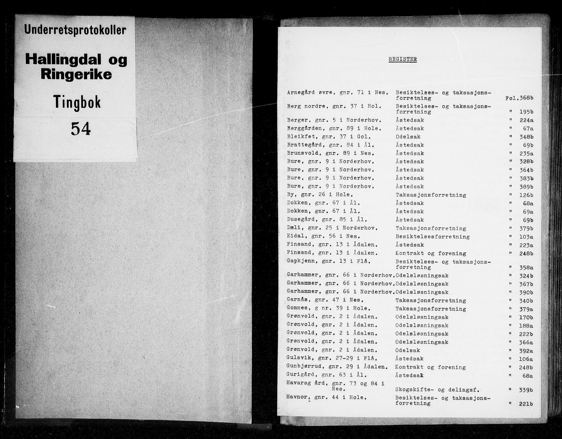 Ringerike og Hallingdal sorenskriveri, AV/SAKO-A-81/F/Fa/Faa/L0036: Tingbok, 1735-1738