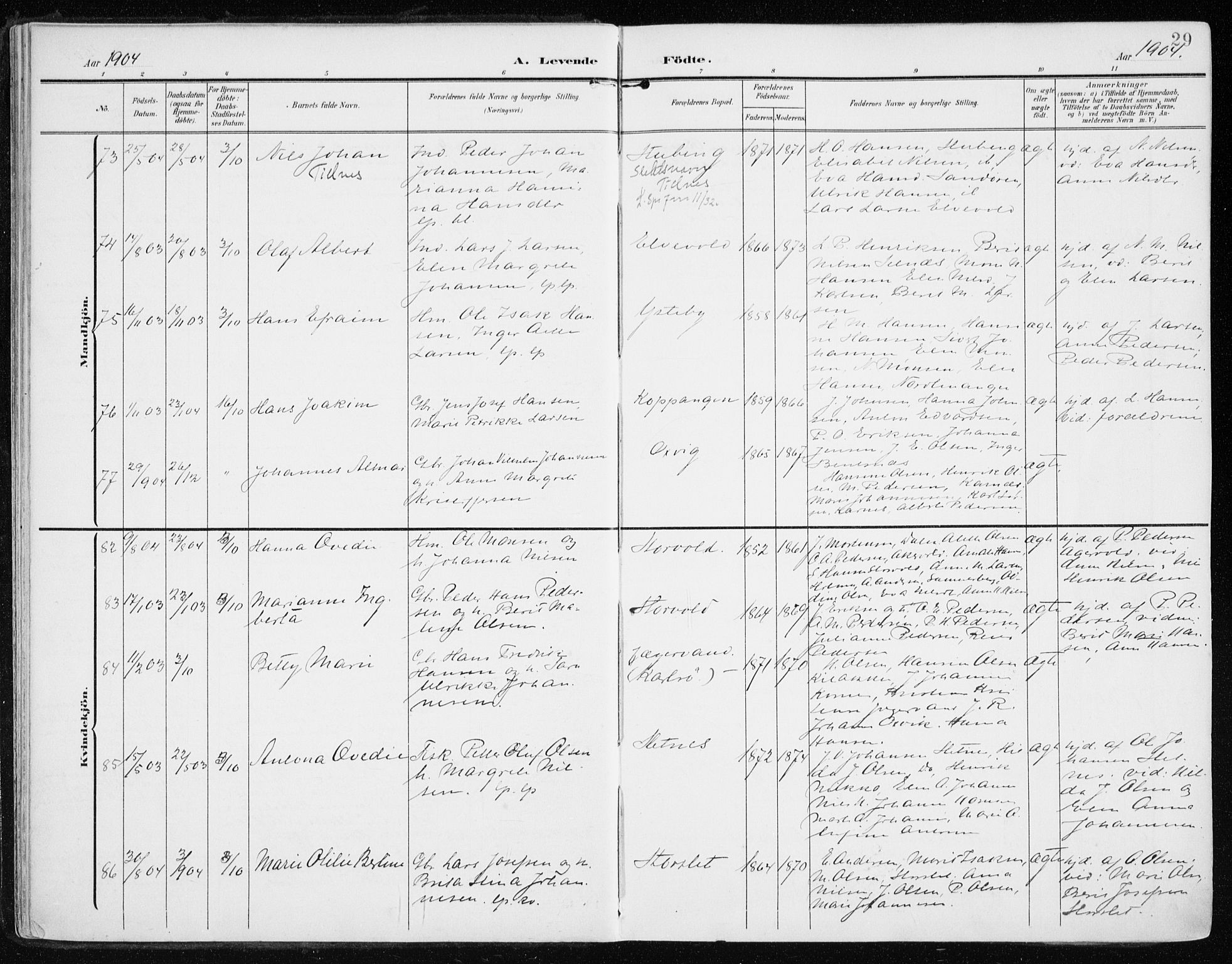 Lyngen sokneprestembete, AV/SATØ-S-1289/H/He/Hea/L0011kirke: Ministerialbok nr. 11, 1903-1913, s. 29