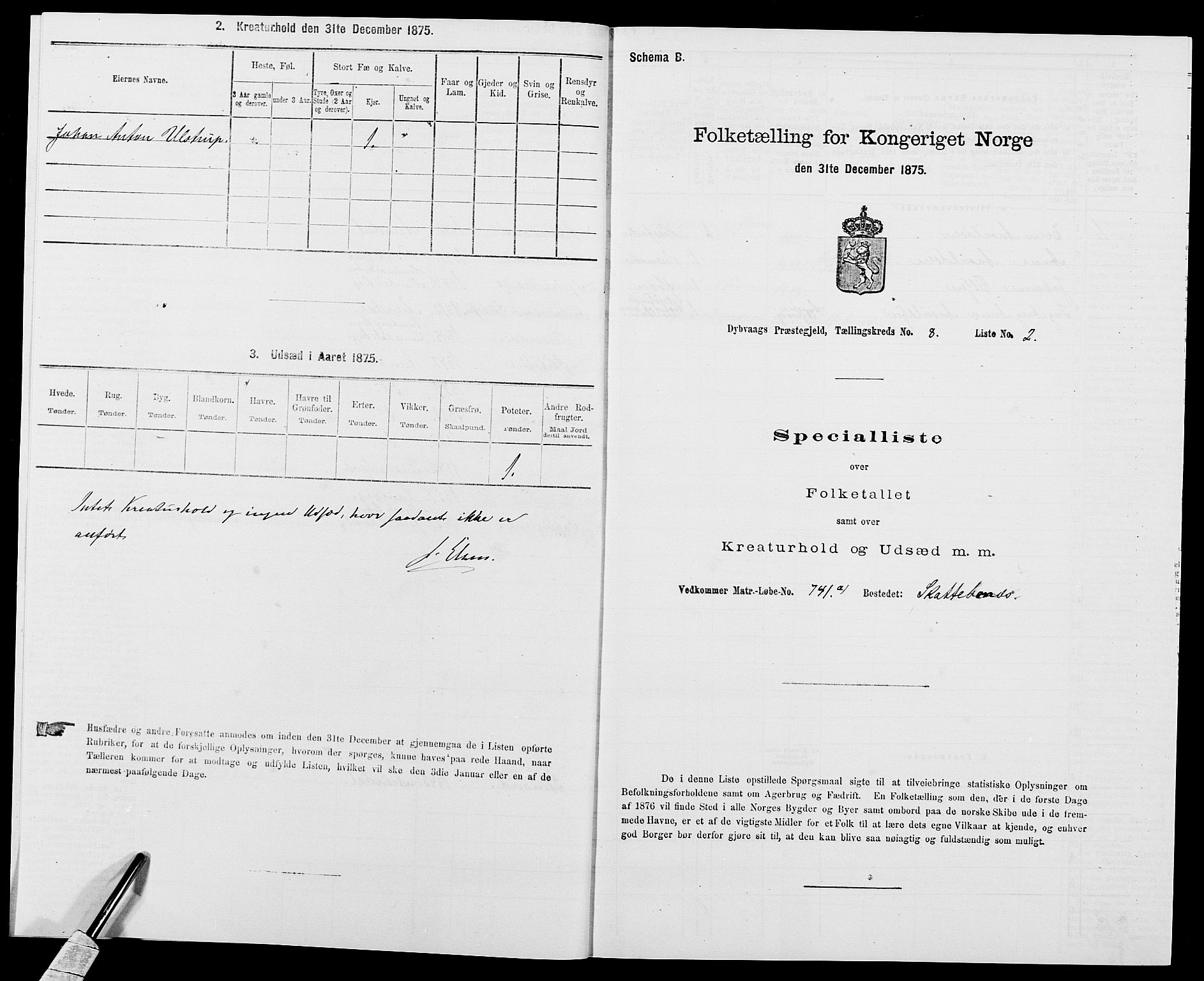 SAK, Folketelling 1875 for 0915P Dypvåg prestegjeld, 1875, s. 924