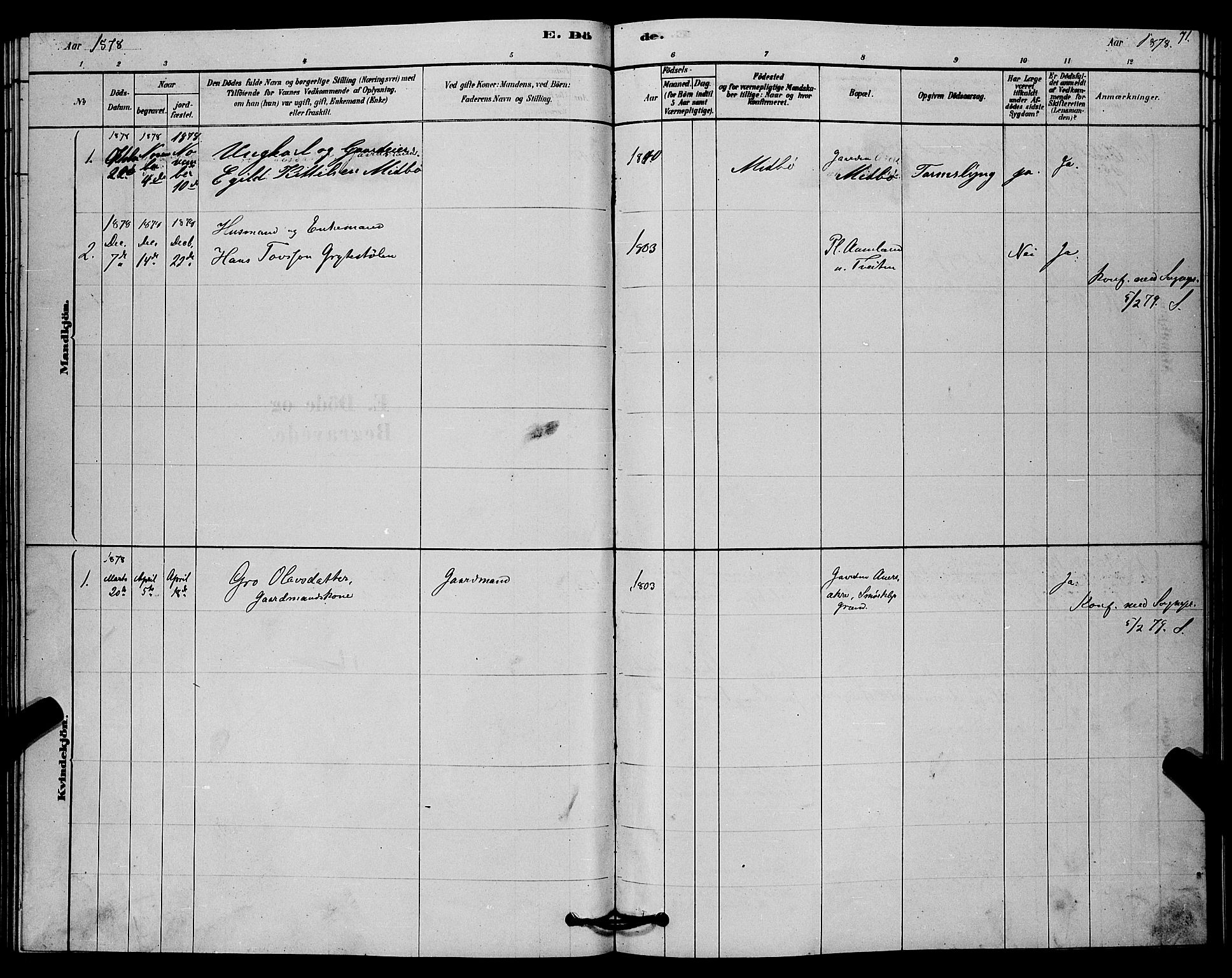 Lårdal kirkebøker, AV/SAKO-A-284/G/Gc/L0003: Klokkerbok nr. III 3, 1878-1890, s. 71