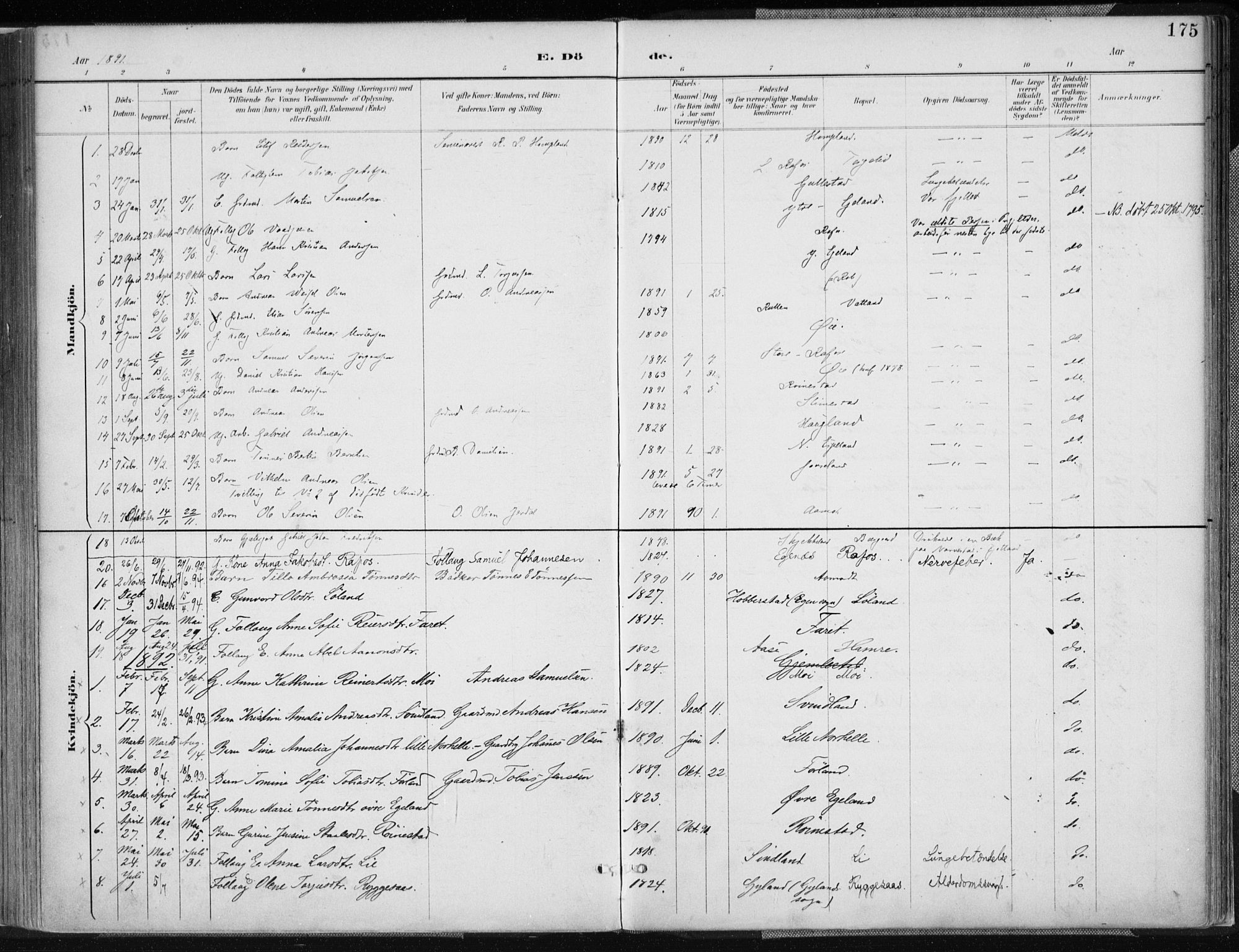 Kvinesdal sokneprestkontor, SAK/1111-0026/F/Fa/Fab/L0008: Ministerialbok nr. A 8, 1886-1897, s. 175