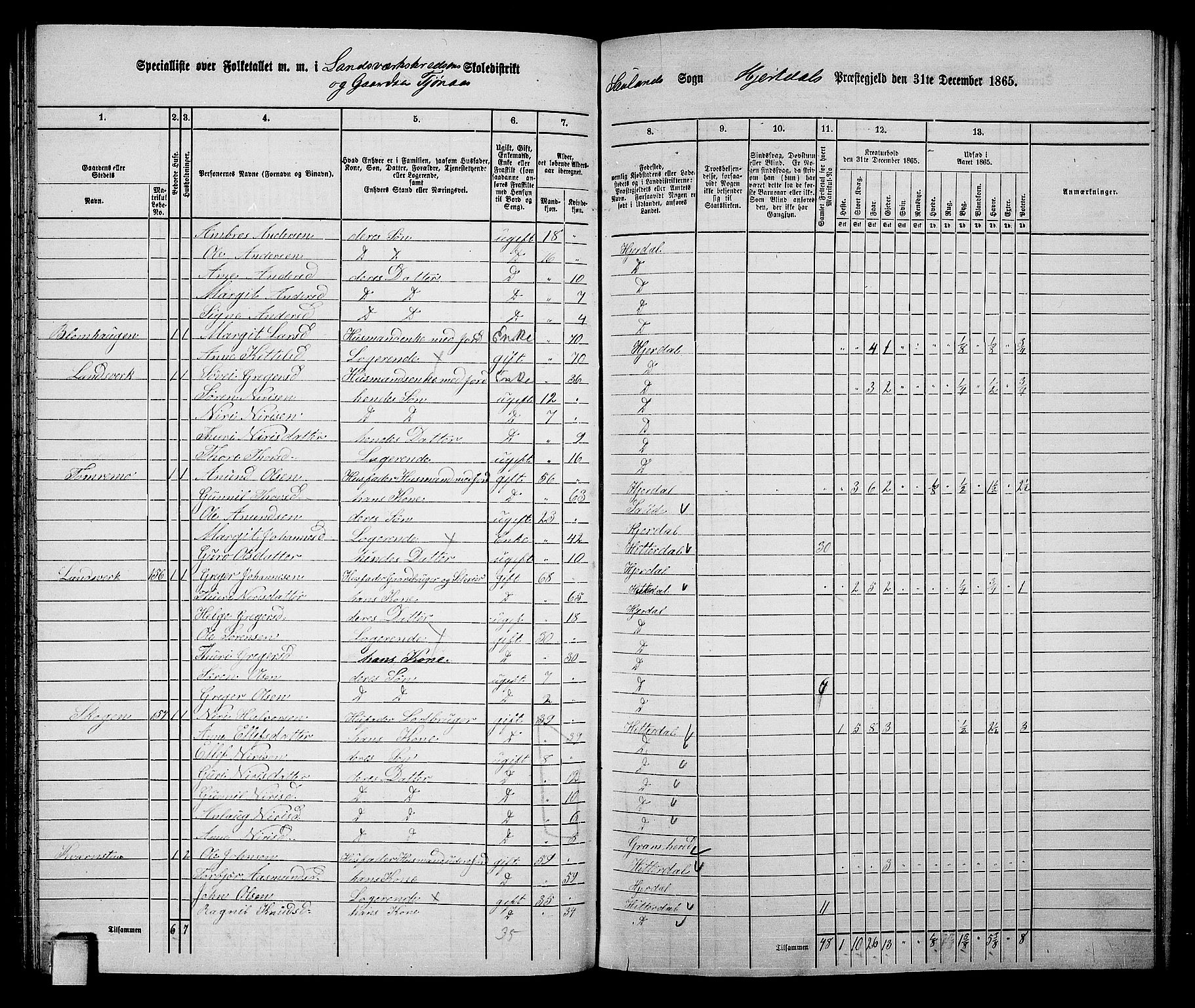 RA, Folketelling 1865 for 0827P Hjartdal prestegjeld, 1865, s. 85