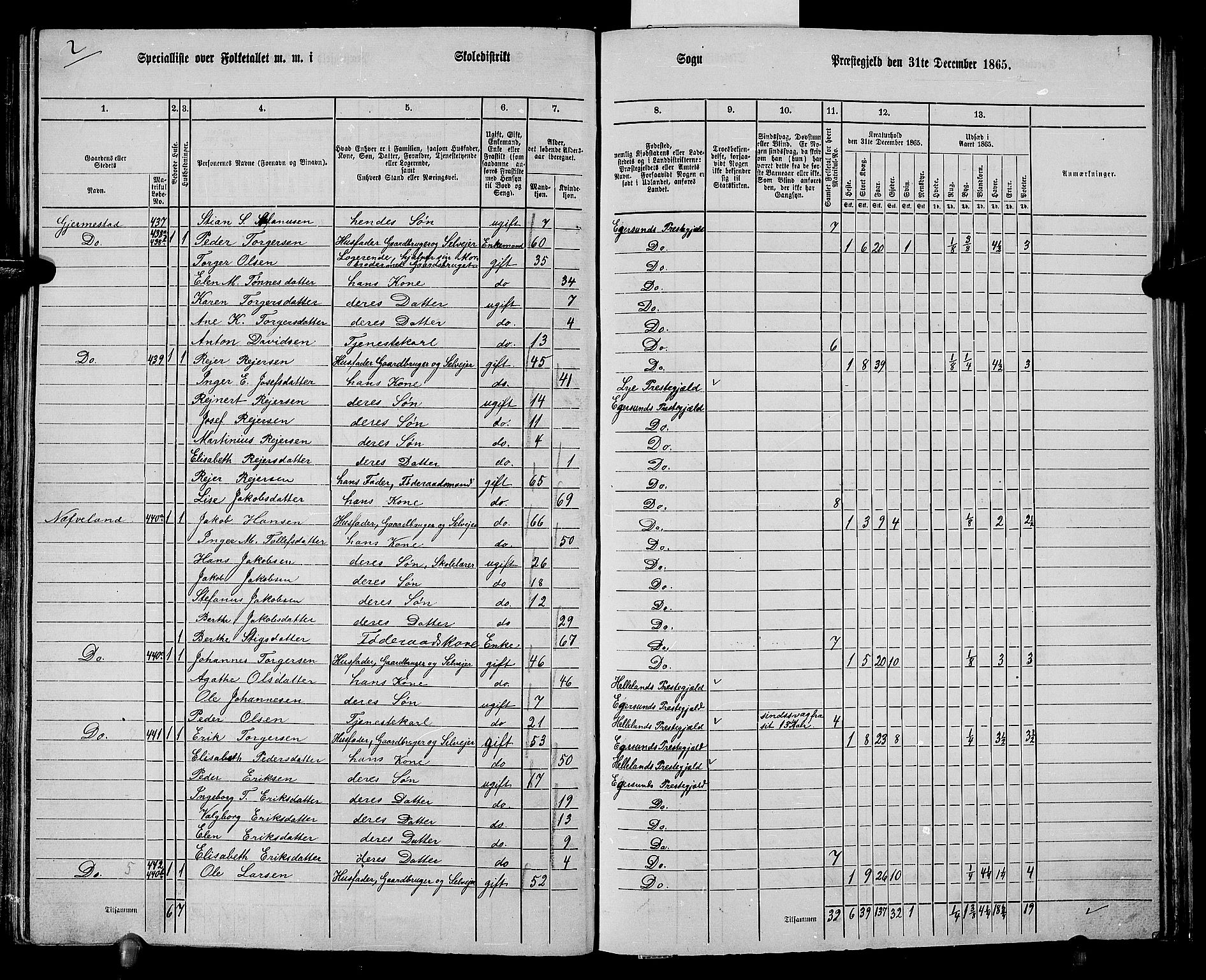 RA, Folketelling 1865 for 1116L Eigersund prestegjeld, Eigersund landsokn og Ogna sokn, 1865, s. 115