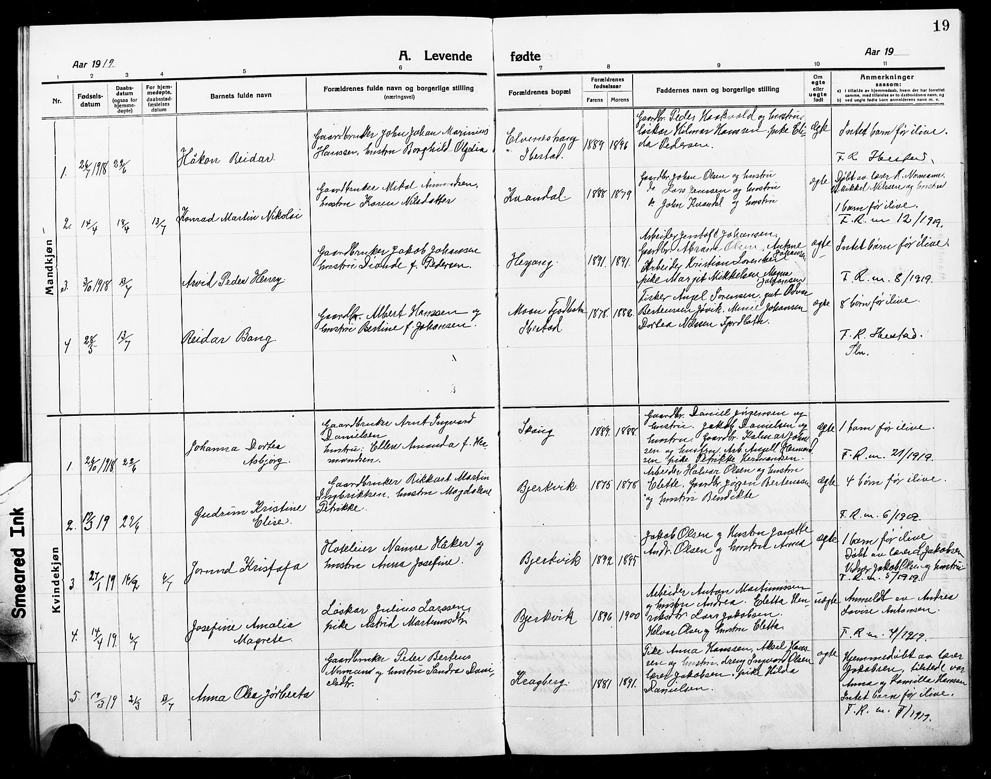 Ministerialprotokoller, klokkerbøker og fødselsregistre - Nordland, SAT/A-1459/868/L0969: Klokkerbok nr. 868C01, 1914-1925, s. 19