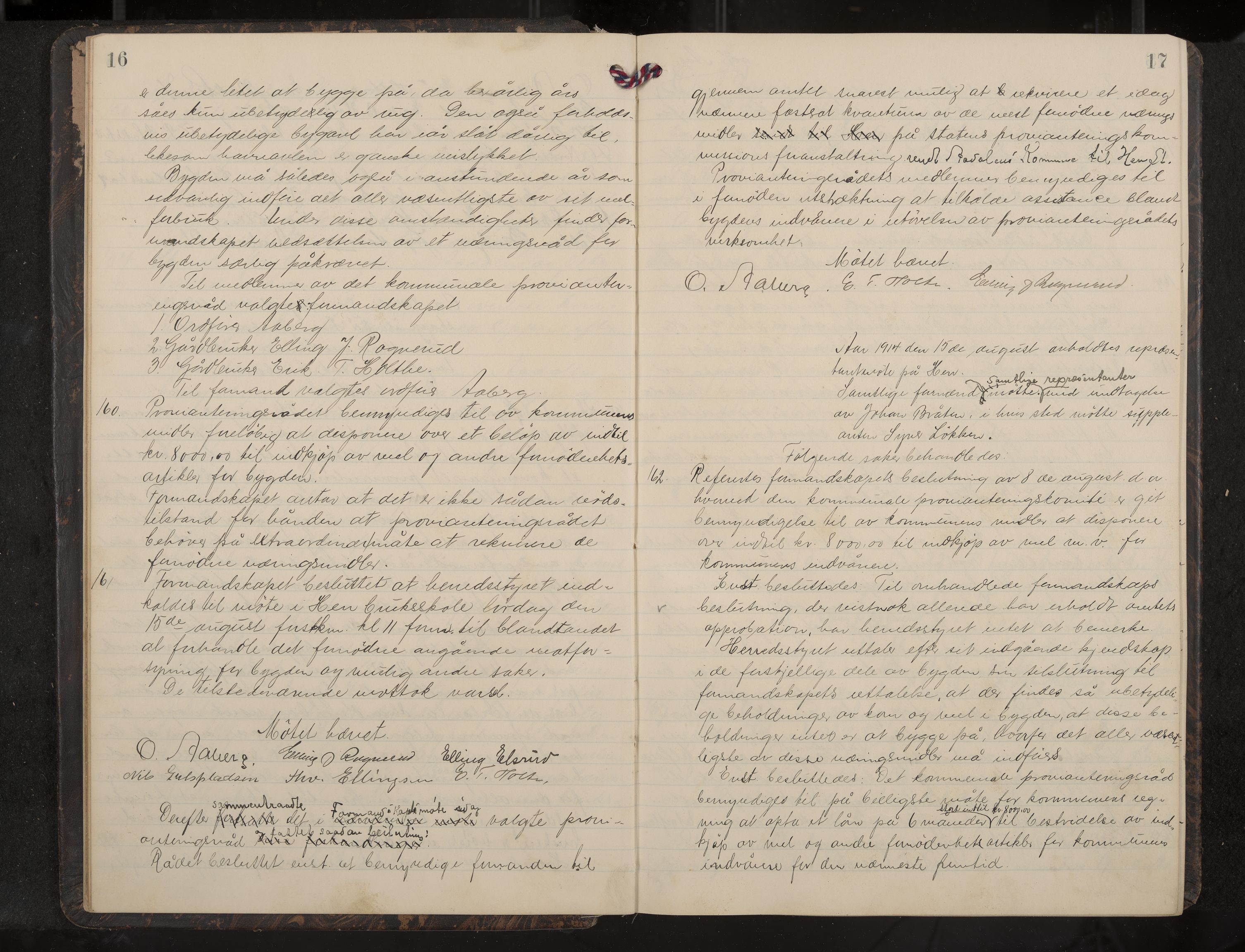 Ådal formannskap og sentraladministrasjon, IKAK/0614021/A/Aa/L0004: Møtebok, 1914-1918, s. 16-17
