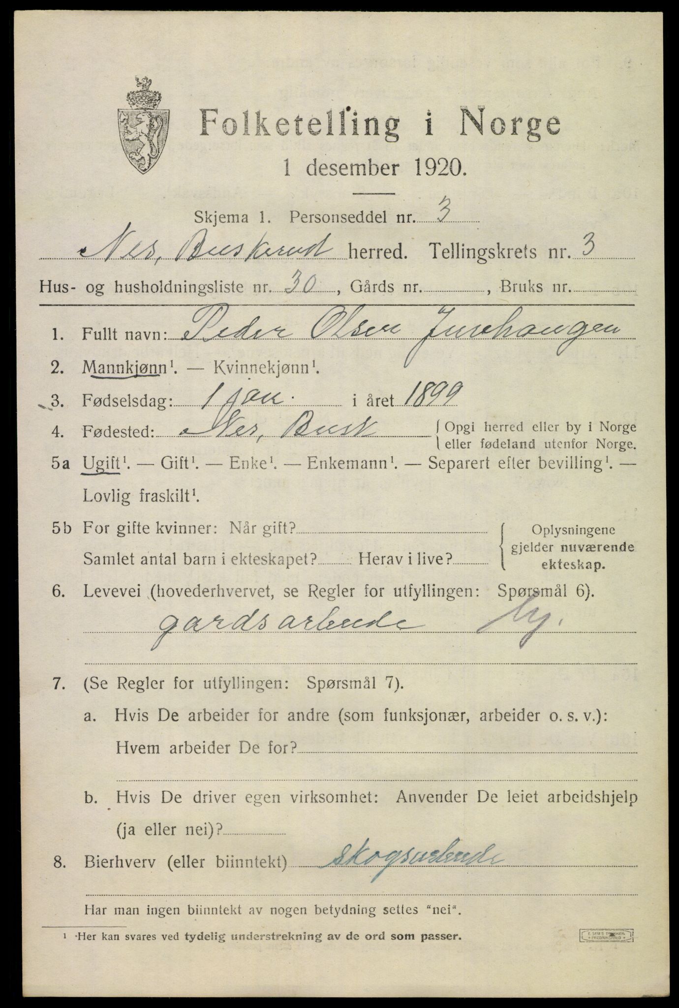 SAKO, Folketelling 1920 for 0616 Nes herred, 1920, s. 1904