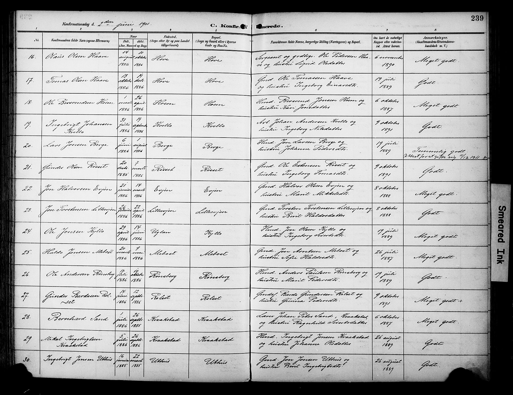 Ministerialprotokoller, klokkerbøker og fødselsregistre - Sør-Trøndelag, AV/SAT-A-1456/695/L1149: Ministerialbok nr. 695A09, 1891-1902, s. 239