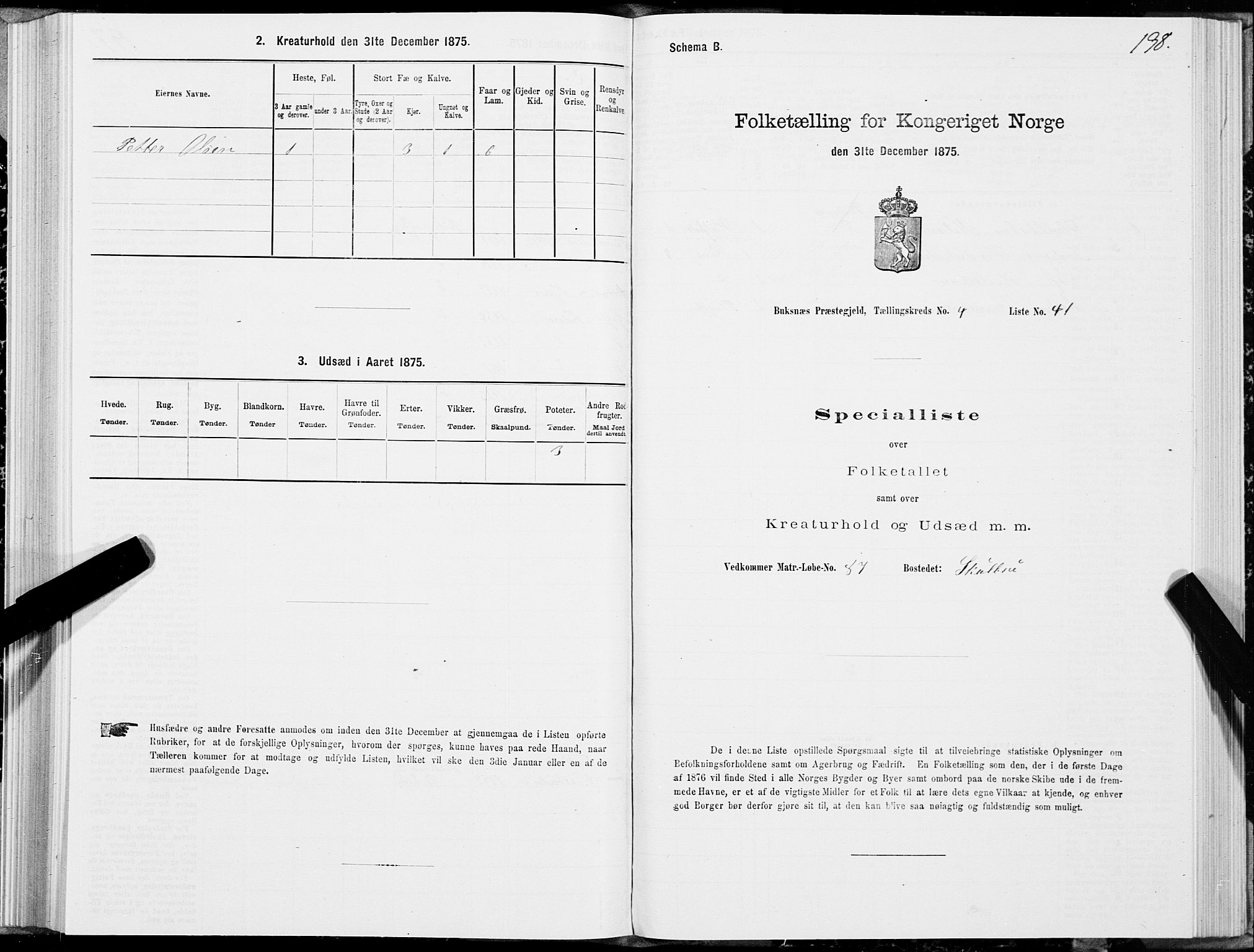 SAT, Folketelling 1875 for 1860P Buksnes prestegjeld, 1875, s. 2198