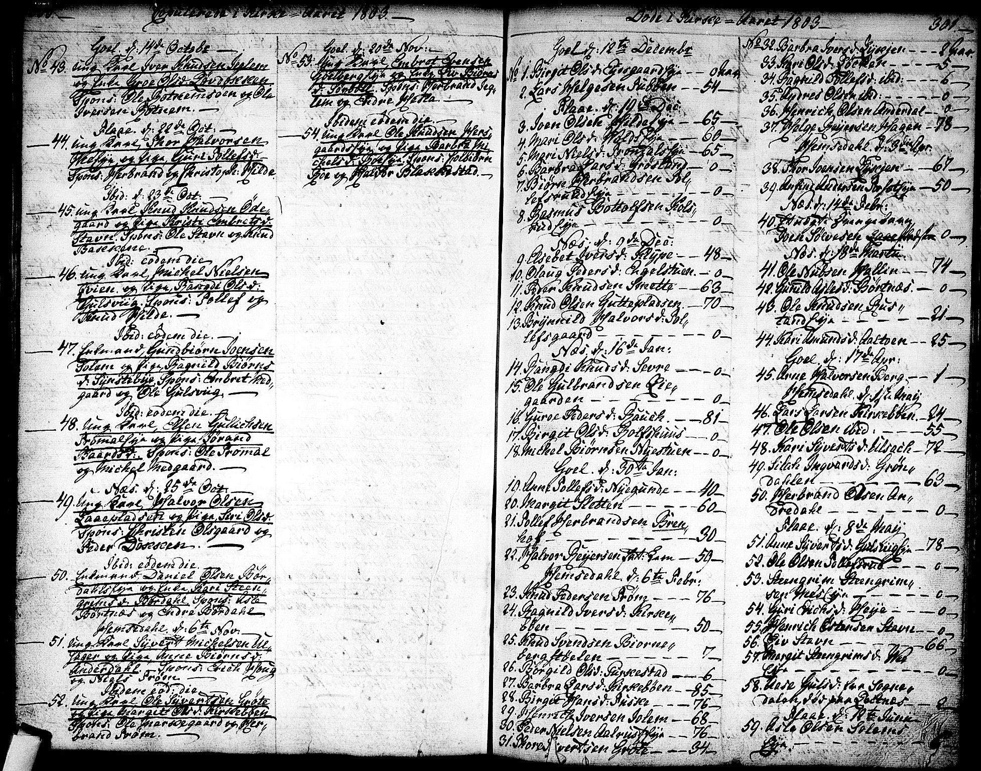 Nes kirkebøker, SAKO/A-236/F/Fa/L0005: Ministerialbok nr. 5, 1787-1807, s. 300-301