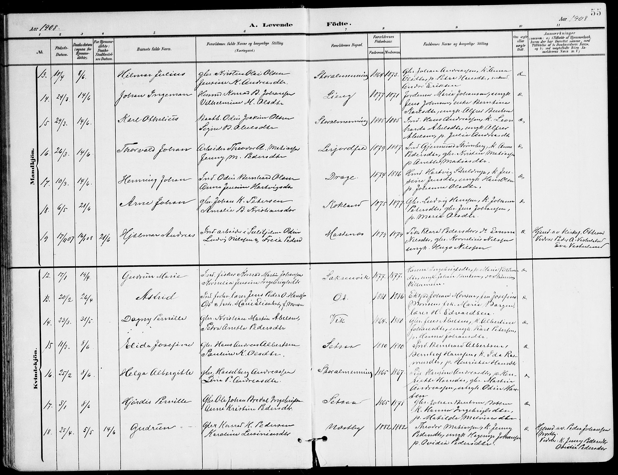 Ministerialprotokoller, klokkerbøker og fødselsregistre - Nordland, AV/SAT-A-1459/847/L0672: Ministerialbok nr. 847A12, 1902-1919, s. 55