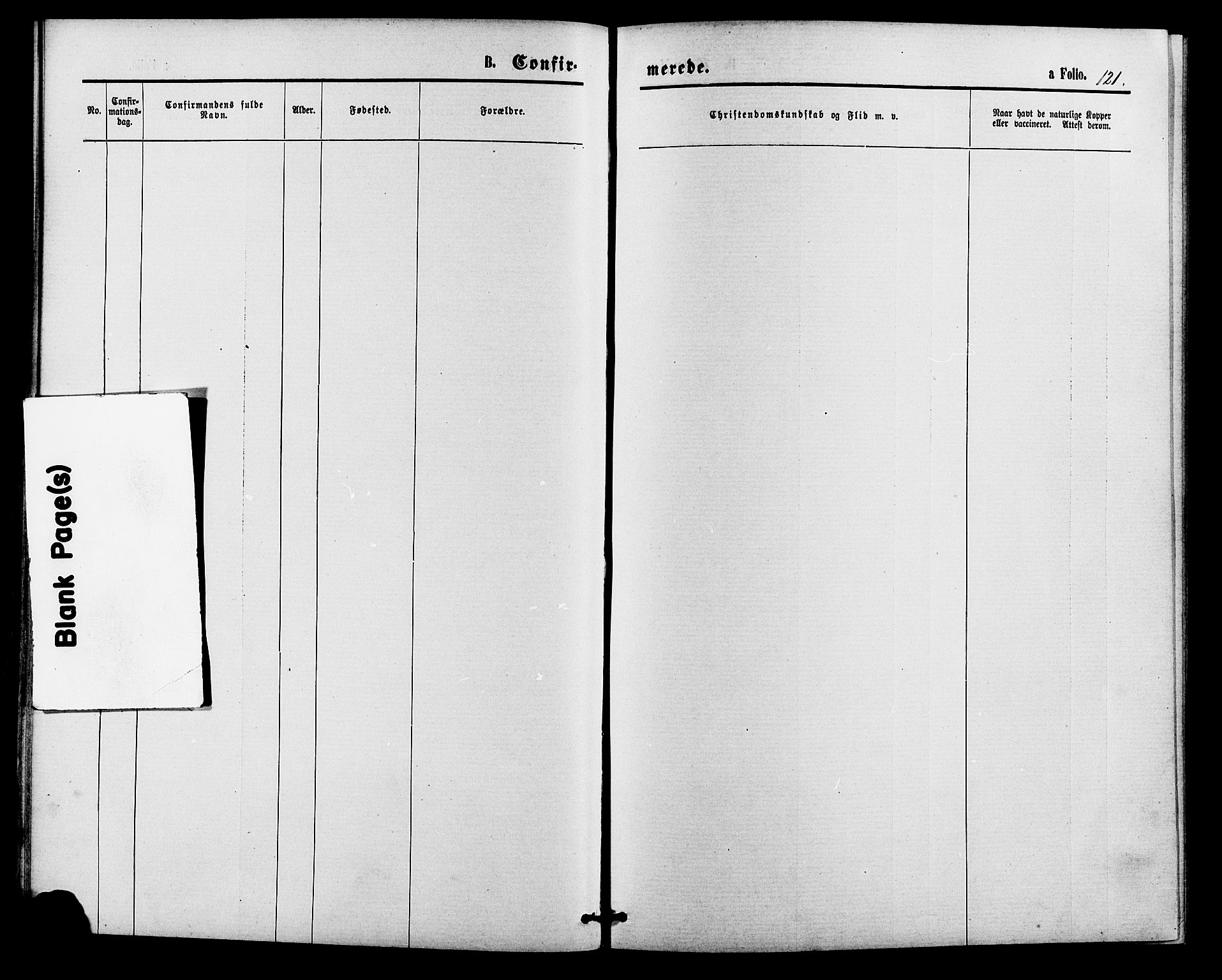 Bakke sokneprestkontor, AV/SAK-1111-0002/F/Fa/Faa/L0007: Ministerialbok nr. A 7, 1877-1886, s. 121