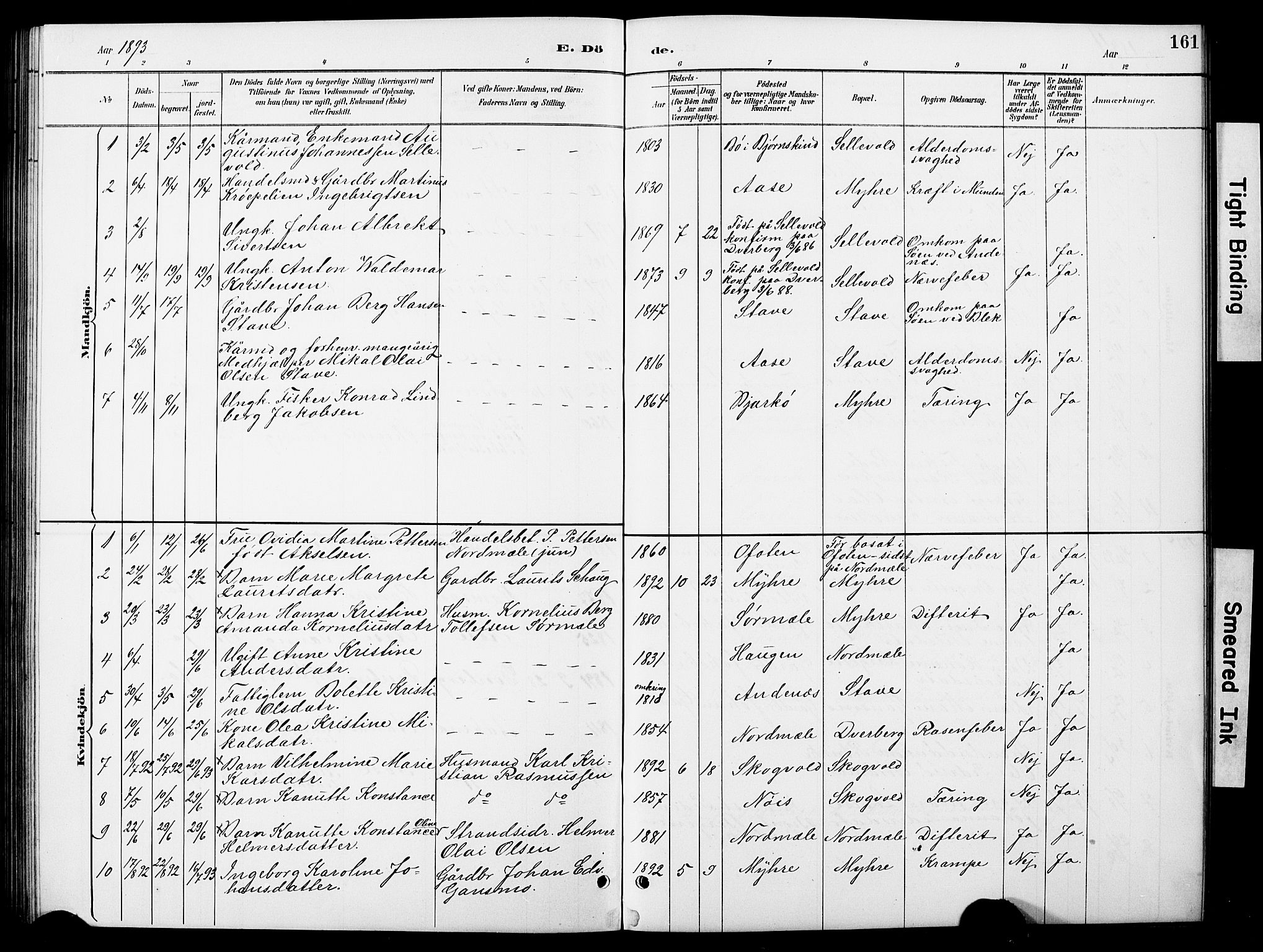 Ministerialprotokoller, klokkerbøker og fødselsregistre - Nordland, AV/SAT-A-1459/897/L1413: Klokkerbok nr. 897C03, 1887-1903, s. 161