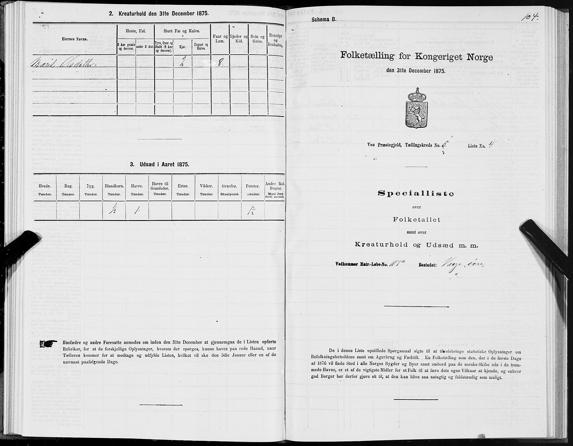 SAT, Folketelling 1875 for 1541P Veøy prestegjeld, 1875, s. 3104