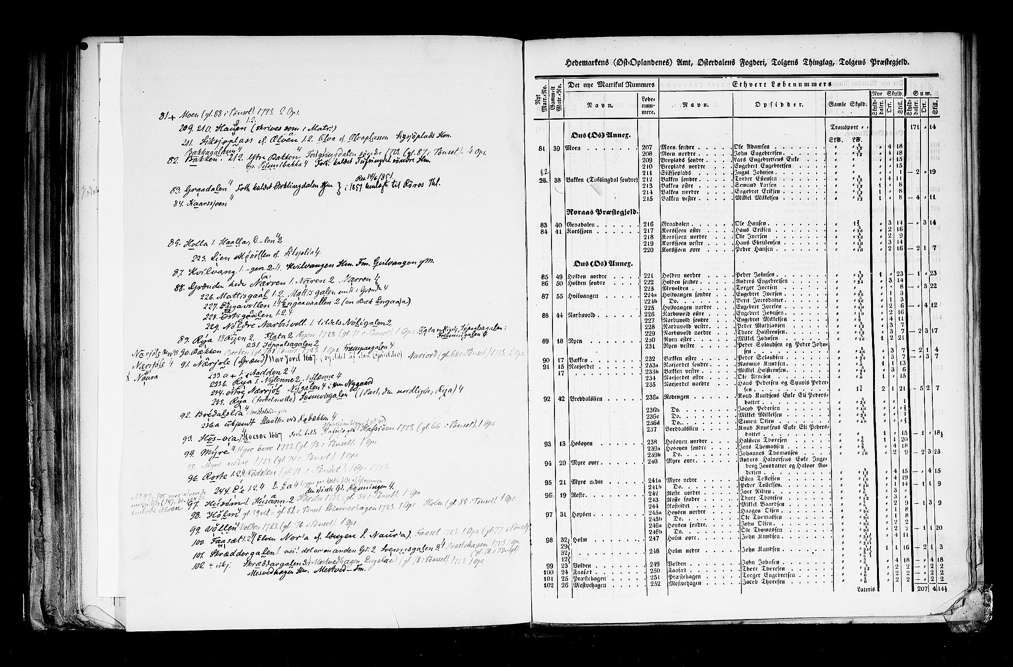 Rygh, AV/RA-PA-0034/F/Fb/L0003: Matrikkelen for 1838 - Hedemarken amt (Hedmark fylke), 1838