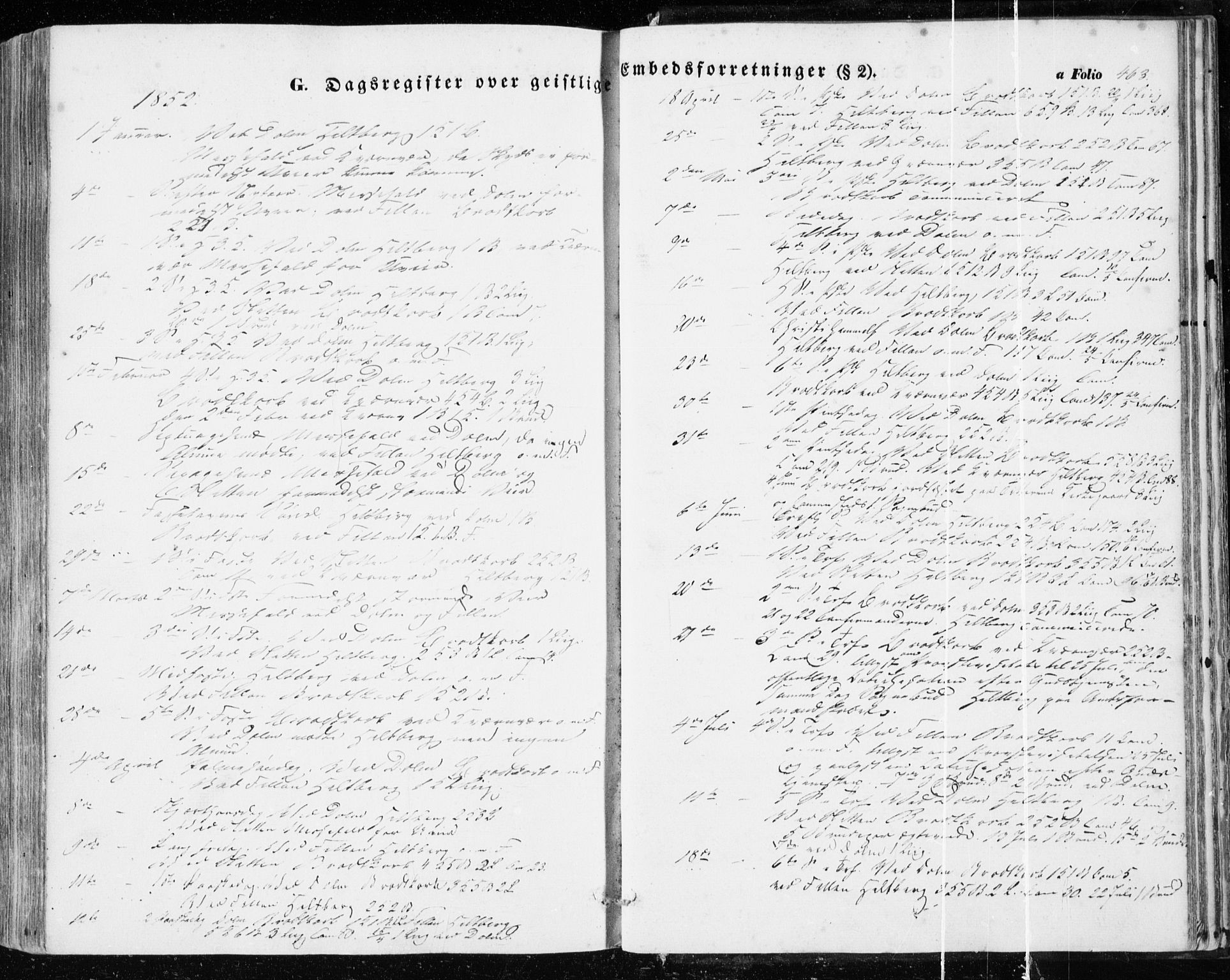 Ministerialprotokoller, klokkerbøker og fødselsregistre - Sør-Trøndelag, SAT/A-1456/634/L0530: Ministerialbok nr. 634A06, 1852-1860, s. 463