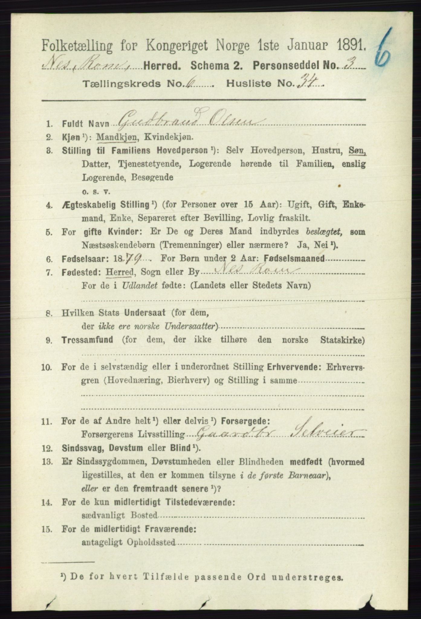 RA, Folketelling 1891 for 0236 Nes herred, 1891, s. 3596